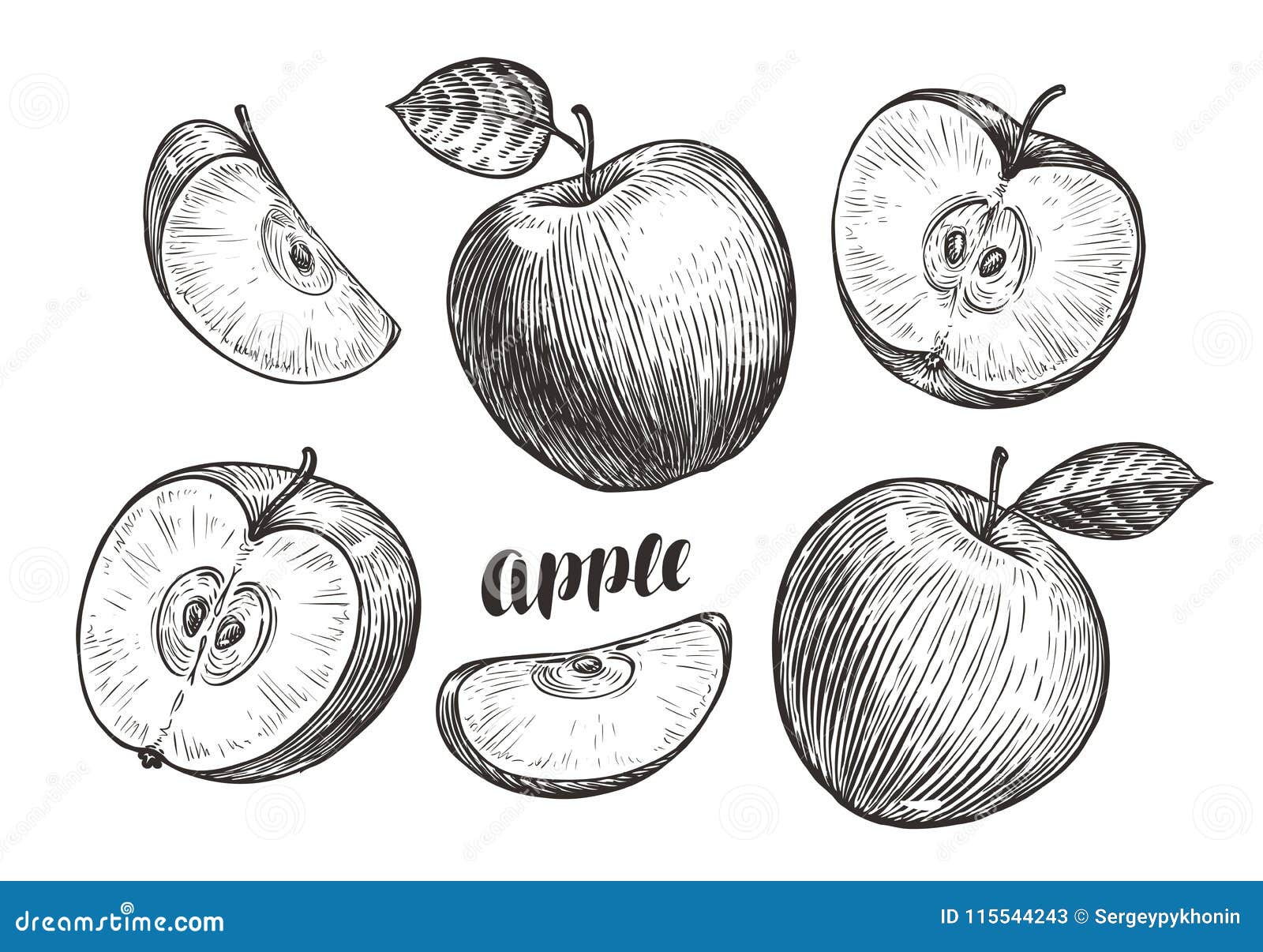 Yummy apple fruit drawing free image download