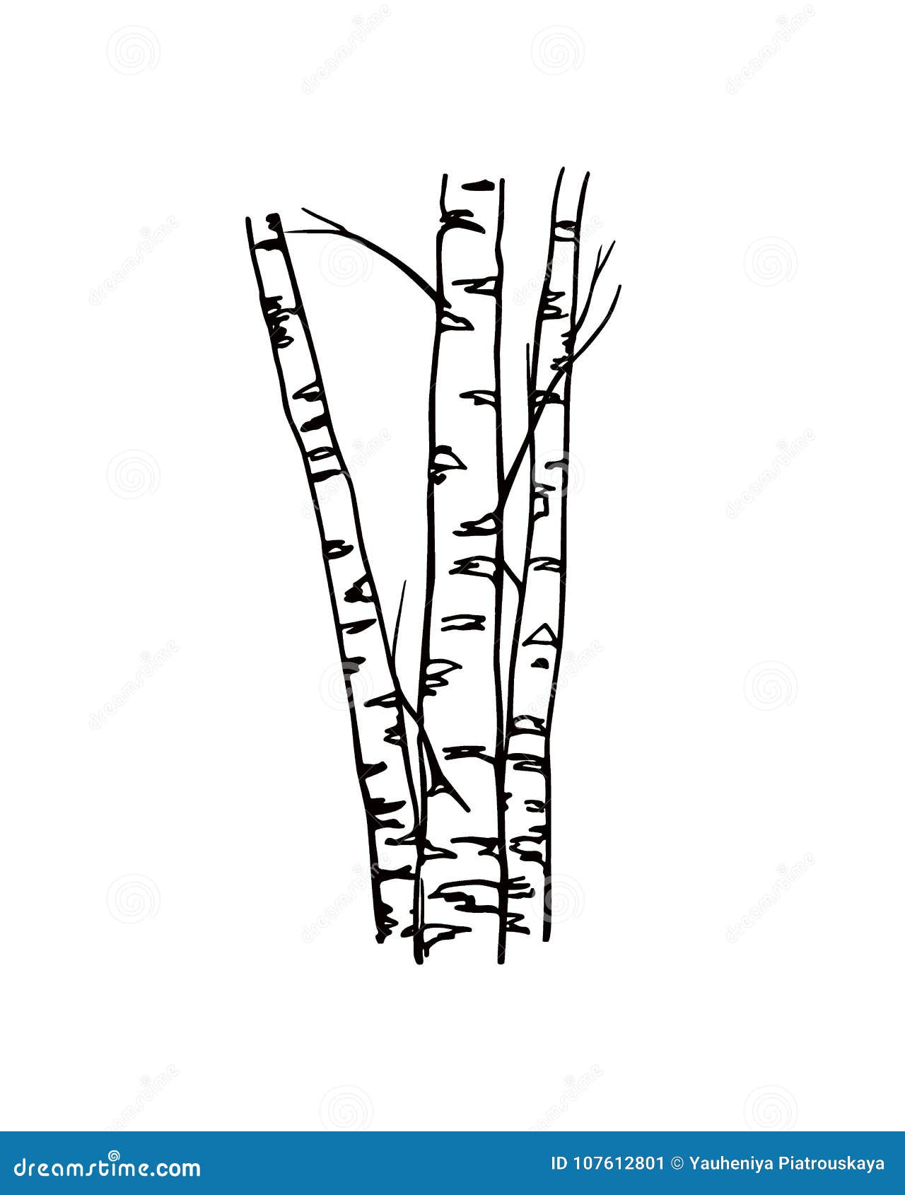 Birch Tree Graphic Stock Illustrations – 8,483 Birch Tree Graphic Stock  Illustrations, Vectors & Clipart - Dreamstime