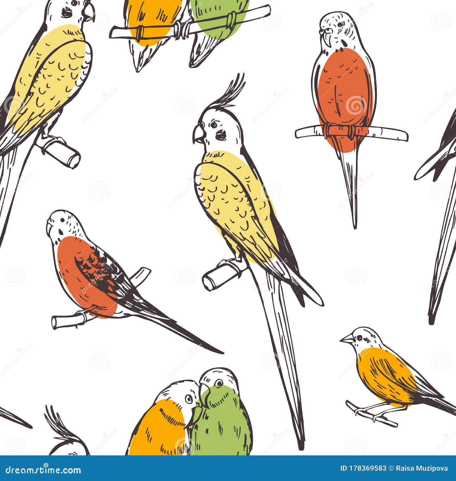 parrots and canaries.  seamless pattern
