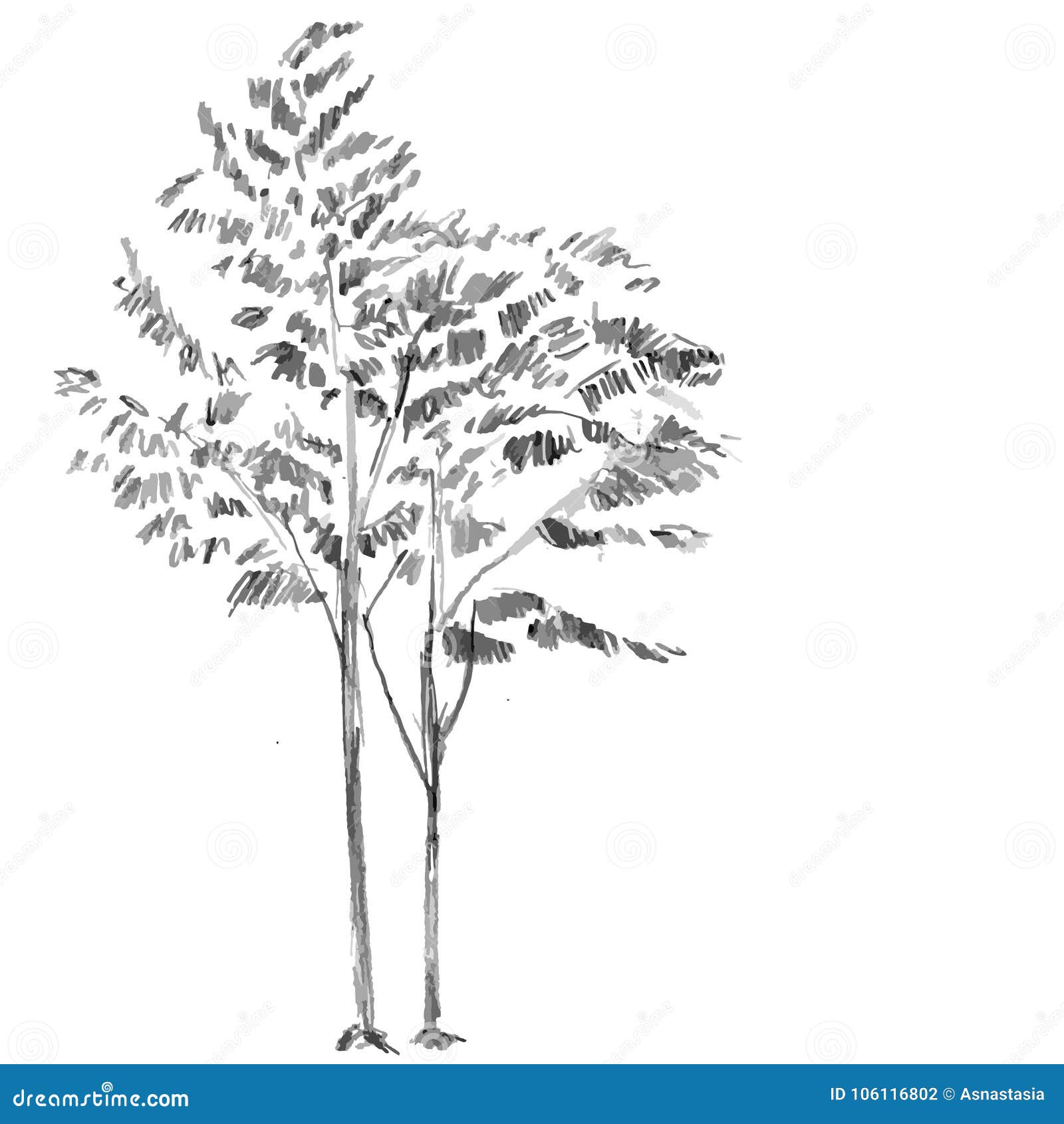 Download How To Draw Fall Tree - Easy Small Tree Drawings - Full Size PNG  Image - PNGkit
