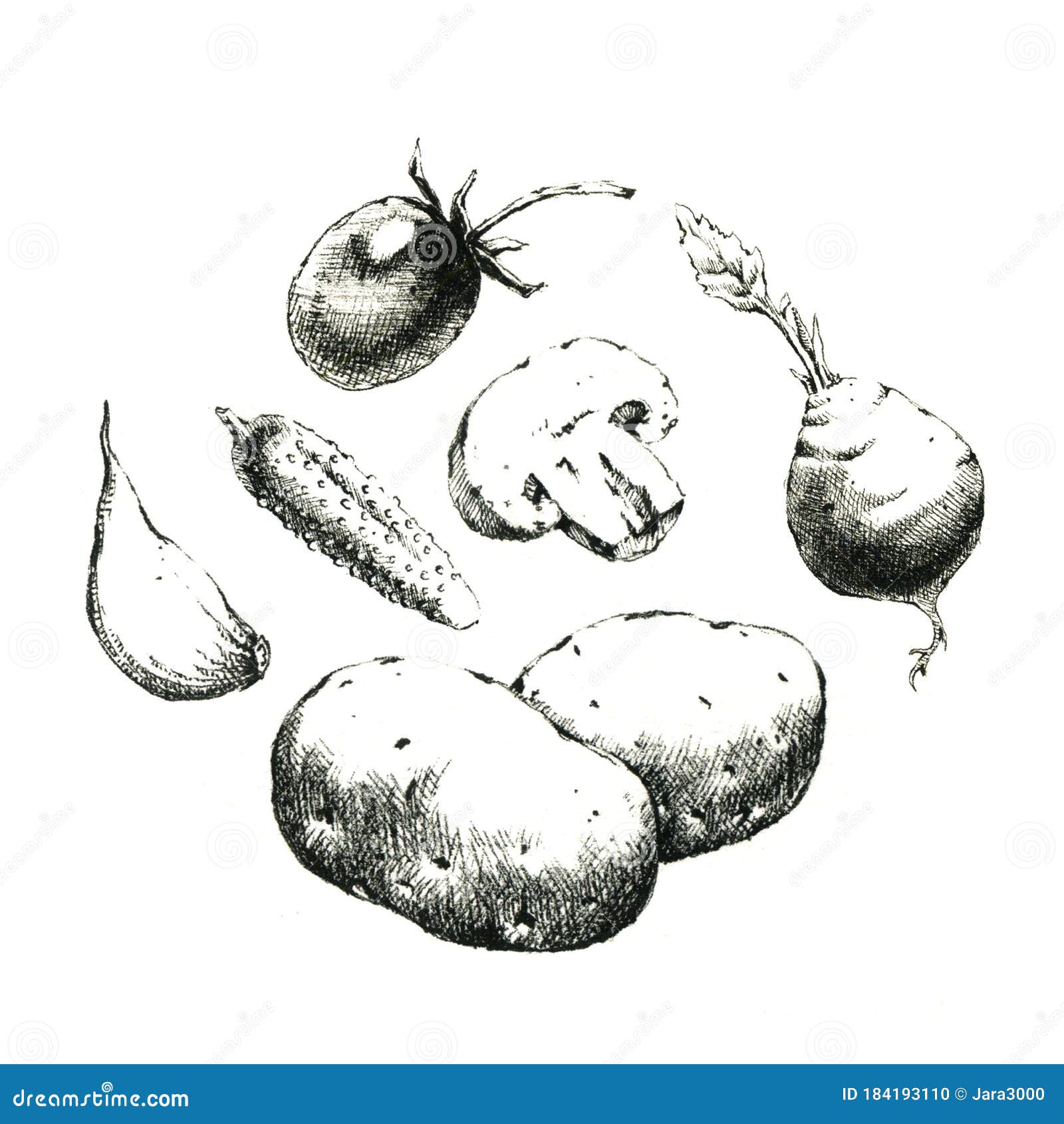 hand-drawn black and white image of vegetables. jpeg only