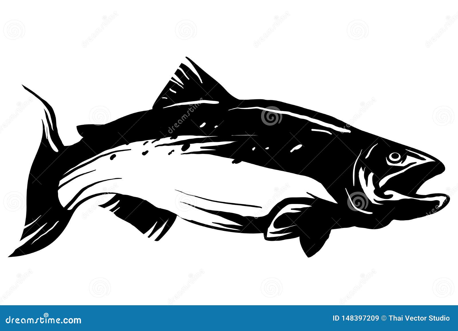 Hand Drawn Black and White Salmon Fish Stock Vector Illustration of