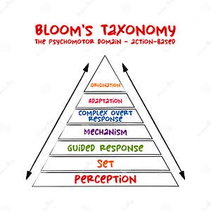 Blooms Taxonomy Domains