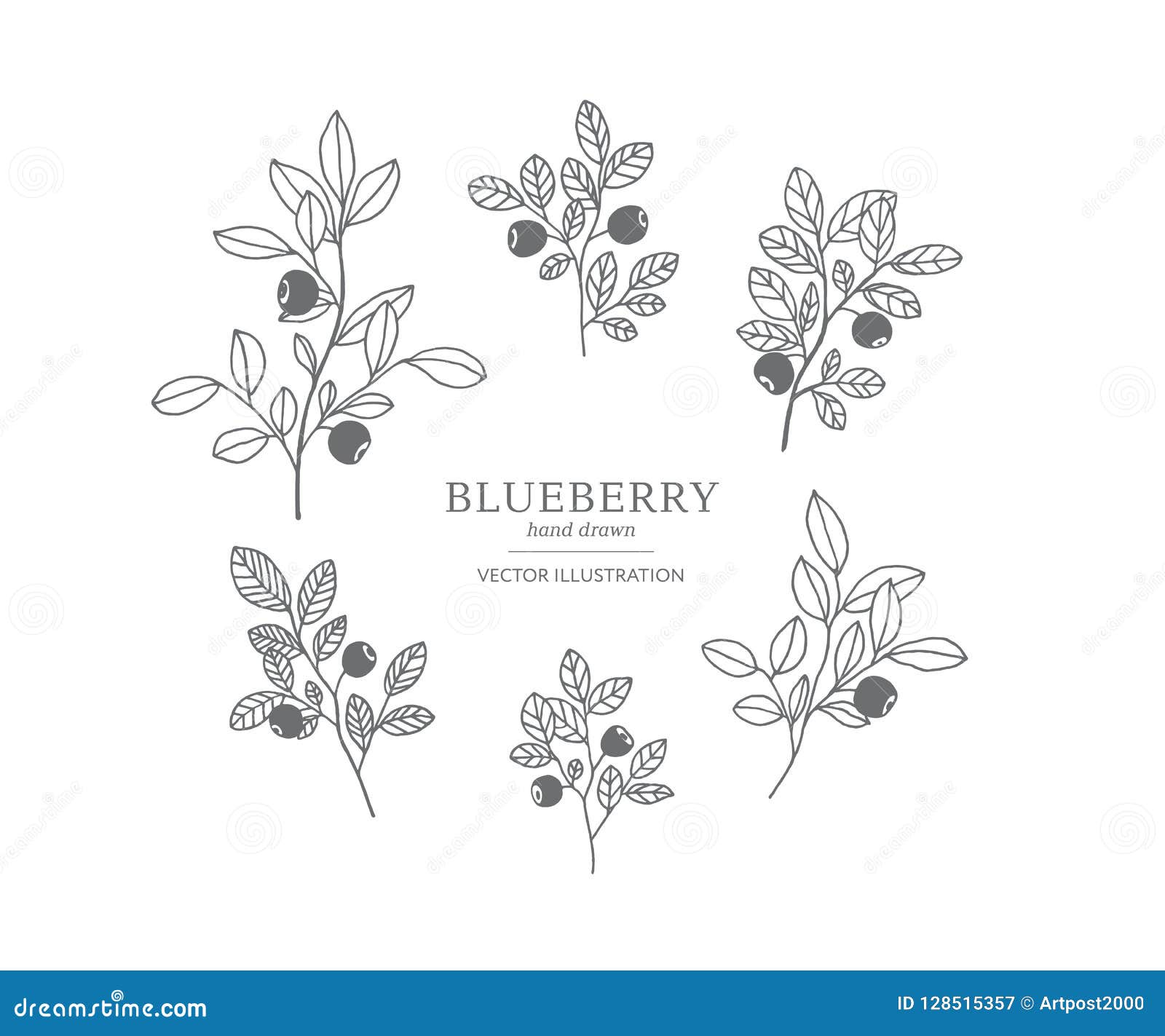 Hand drawn blueberry set. stock vector. Illustration of doodle - 128515357