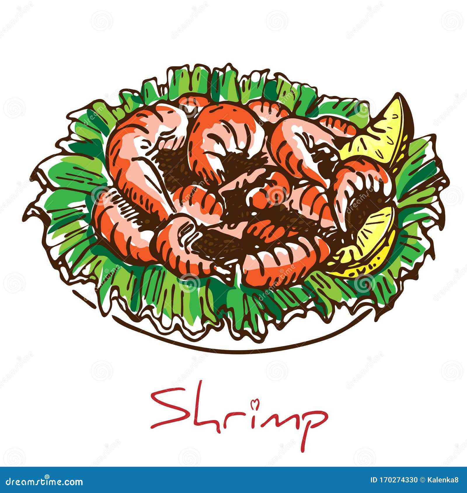 Hand Drawn Boiled Prawn or Shrimp with Lettuce and Lemon Slices