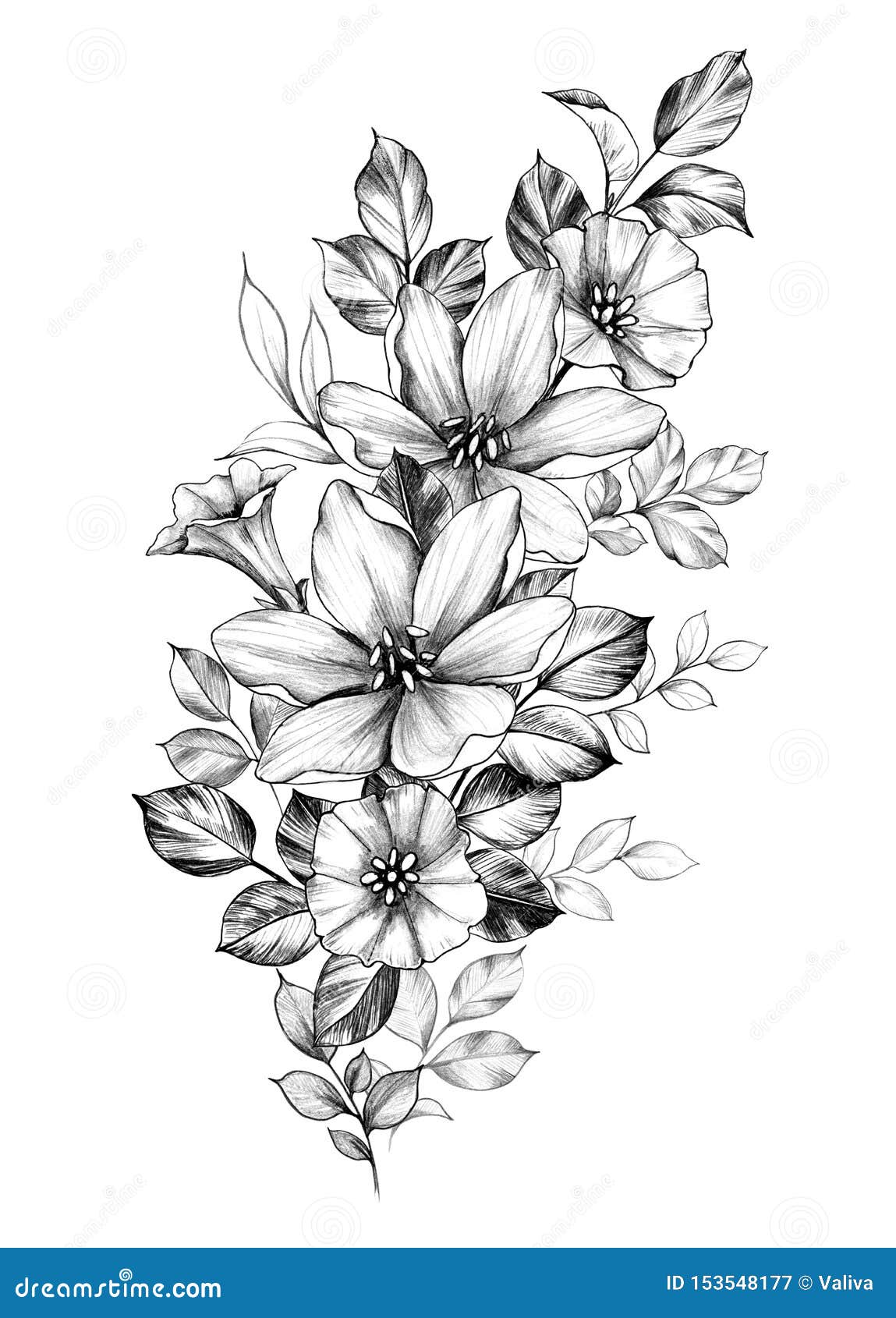 Hand Drawn Monochrome Floral Composition Stock Illustration ...