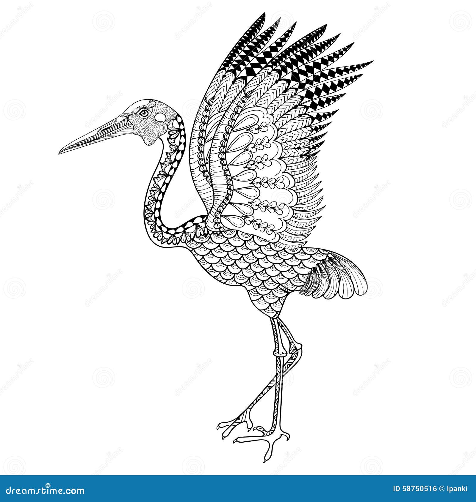 Download Hand Drawn Brolga, Australian Crane Illustration For Antistress Stock Vector - Image: 58750516