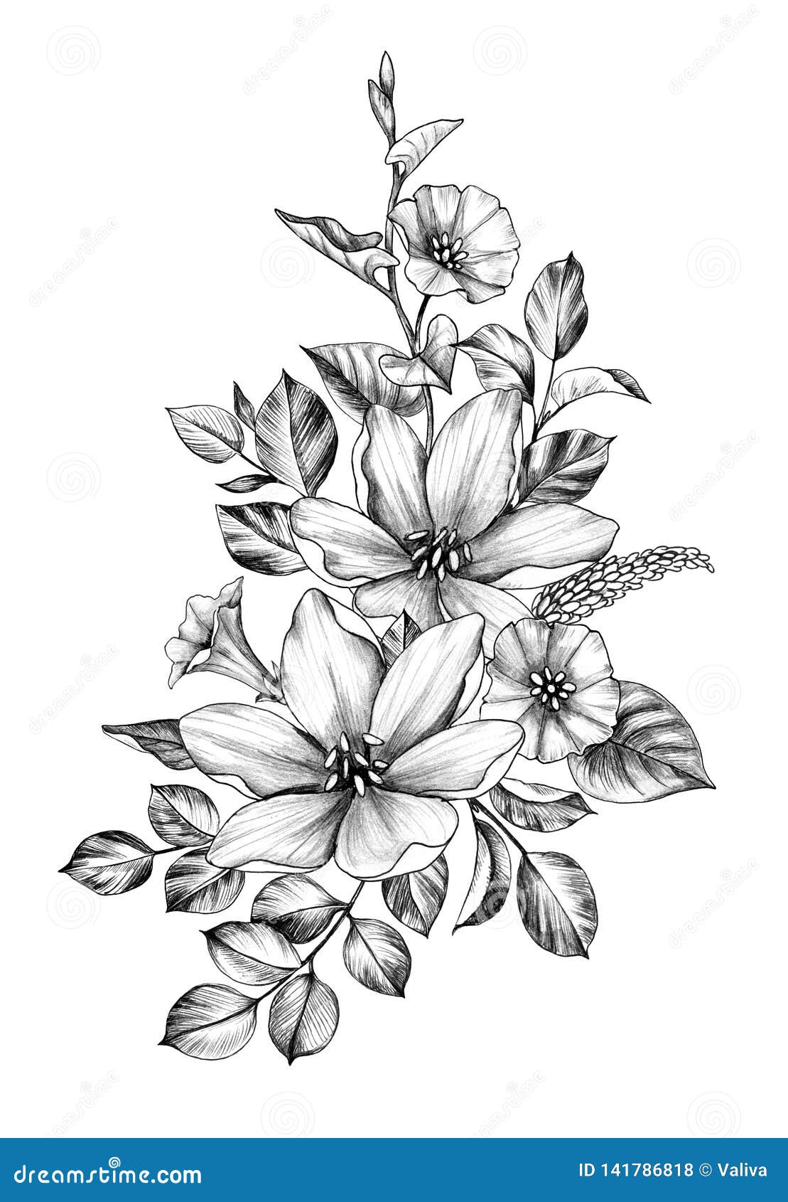 Hand Drawn Bunch with Flowers and Leaves Stock Illustration ...
