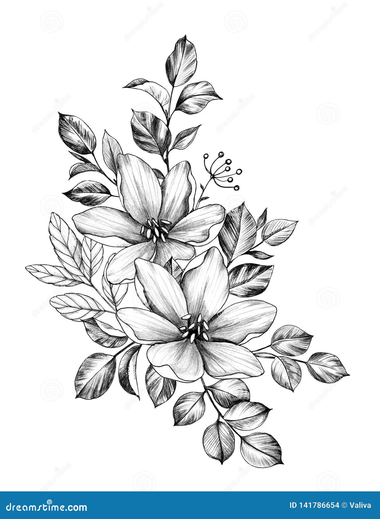 Hand Drawn Bunch with Two Flowers and Leaves Stock Illustration ...