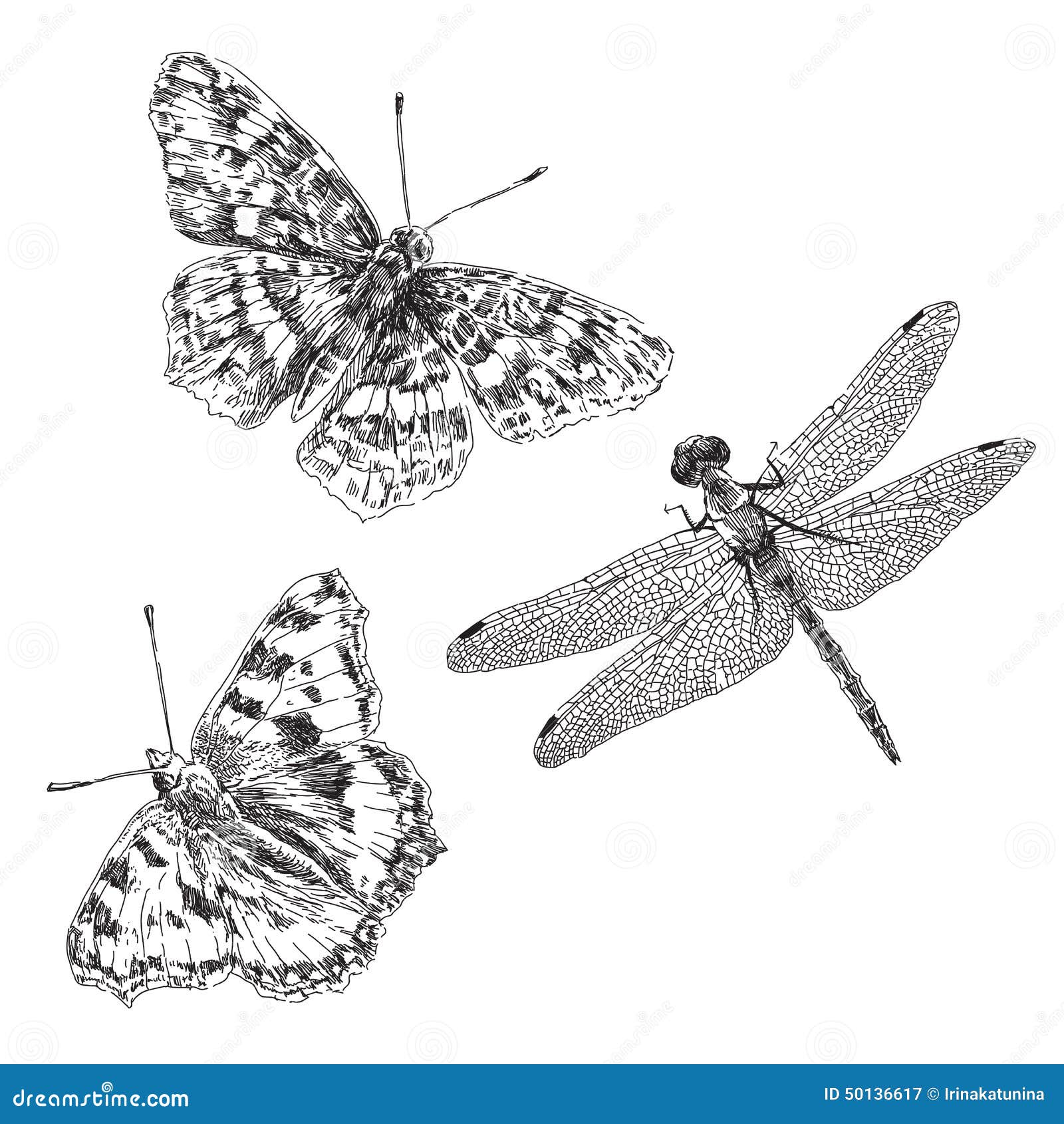 Free Free Dragonfly Butterfly Svg 98 SVG PNG EPS DXF File