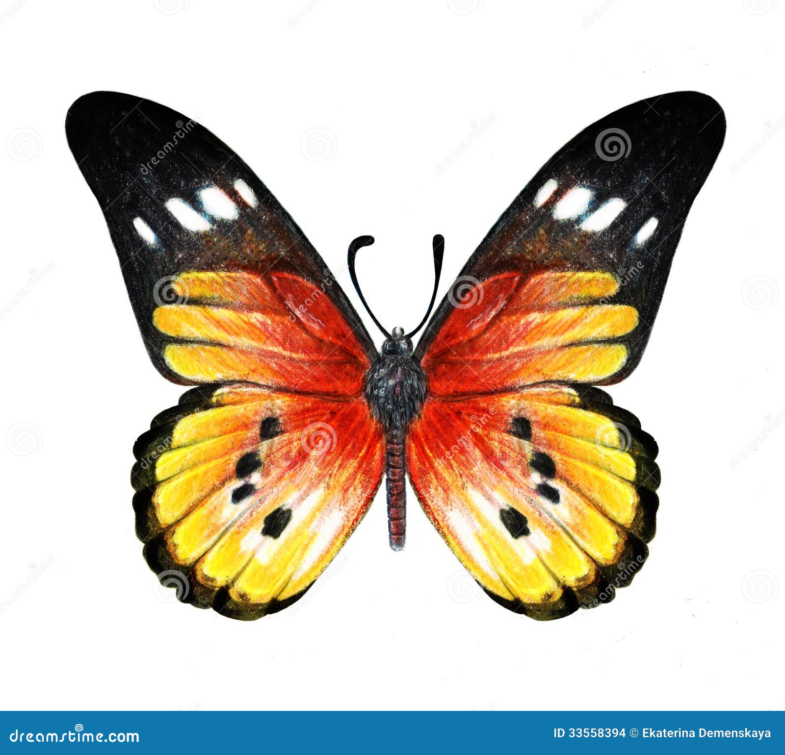 Butterfly Drawing Picture Background Images, HD Pictures and Wallpaper For  Free Download | Pngtree