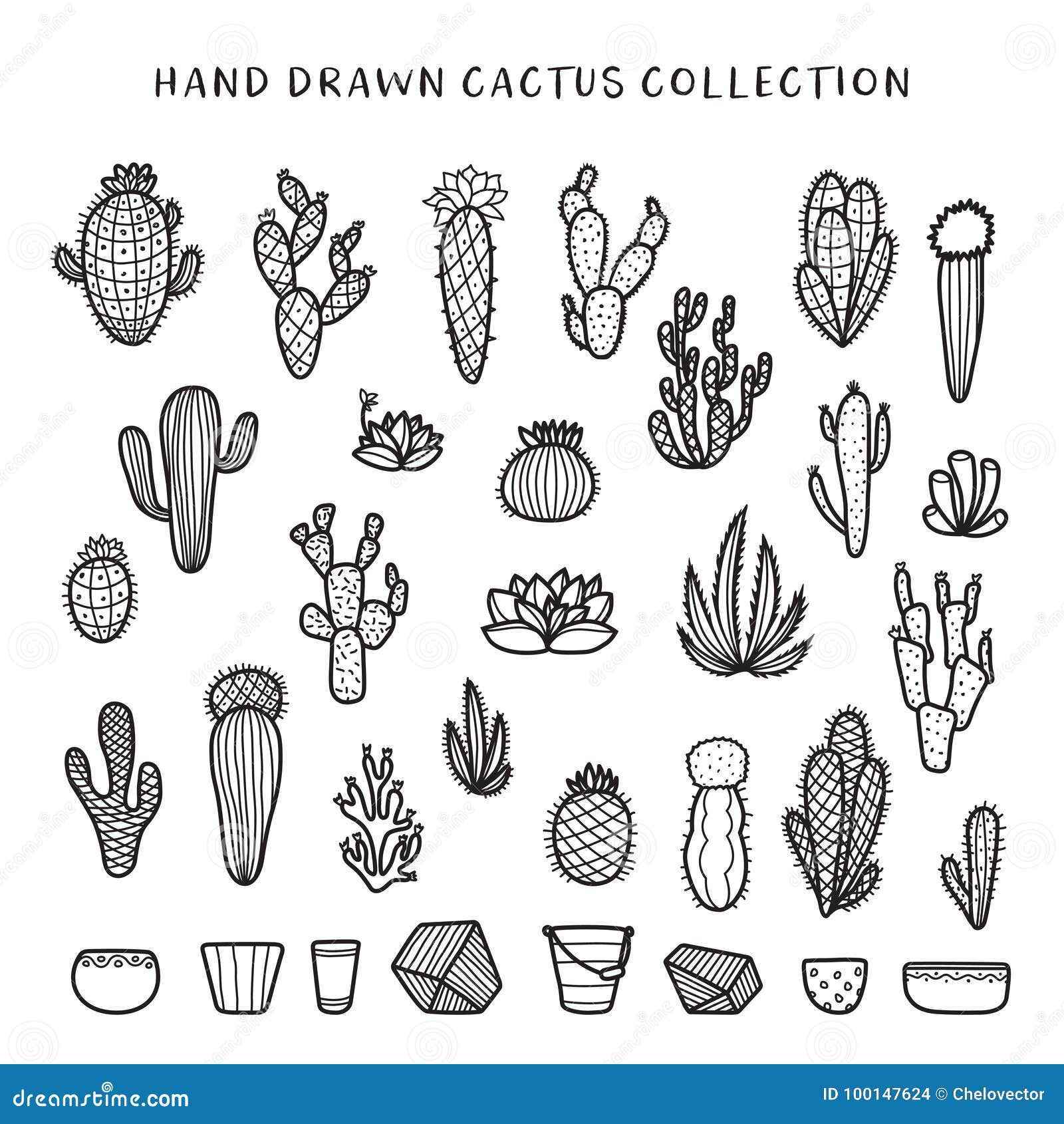 Hand Drawn Cactus Design Vector Download