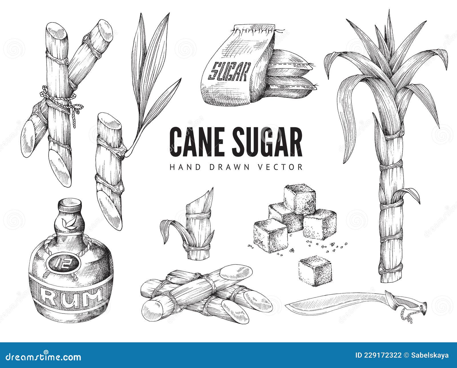 Hand Drawn Cane Sugar Items Set Engraving Vector Illustration Isolated Stock Vector