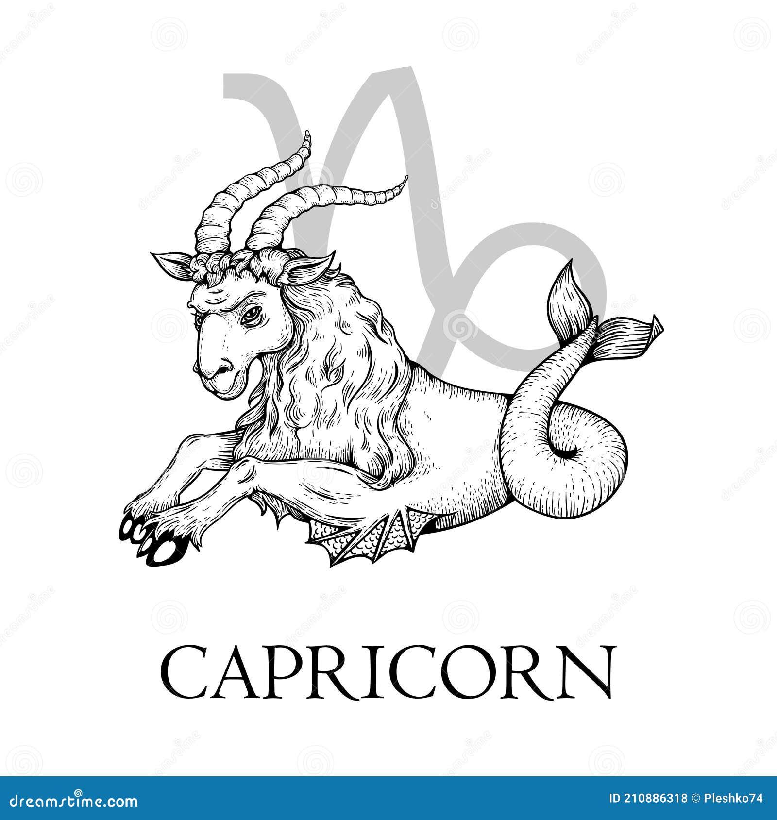 Hand Drawn Capricorn. Zodiac Symbol in Vintage Gravure or Sketch Style.  Male Goat or Mouflon Mystical Animal with Fish Tail Stock Vector -  Illustration of astronomy, capricorn: 210886318