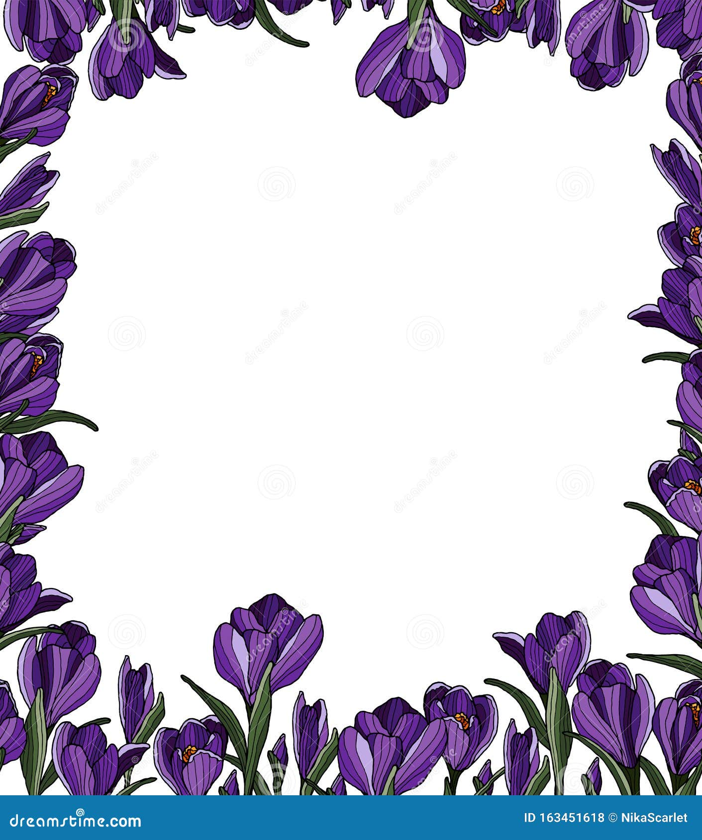 Crocus frame stock vector. Illustration of garden, greeting 163451618