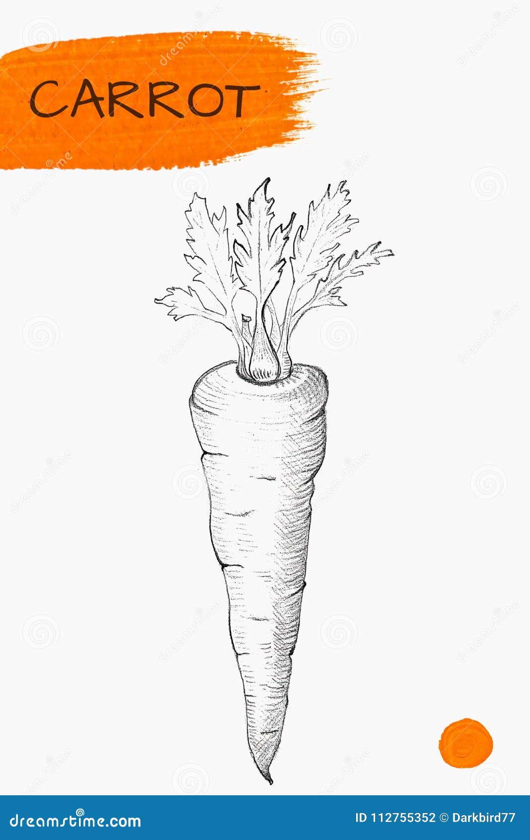 Морковь для срисовки легко