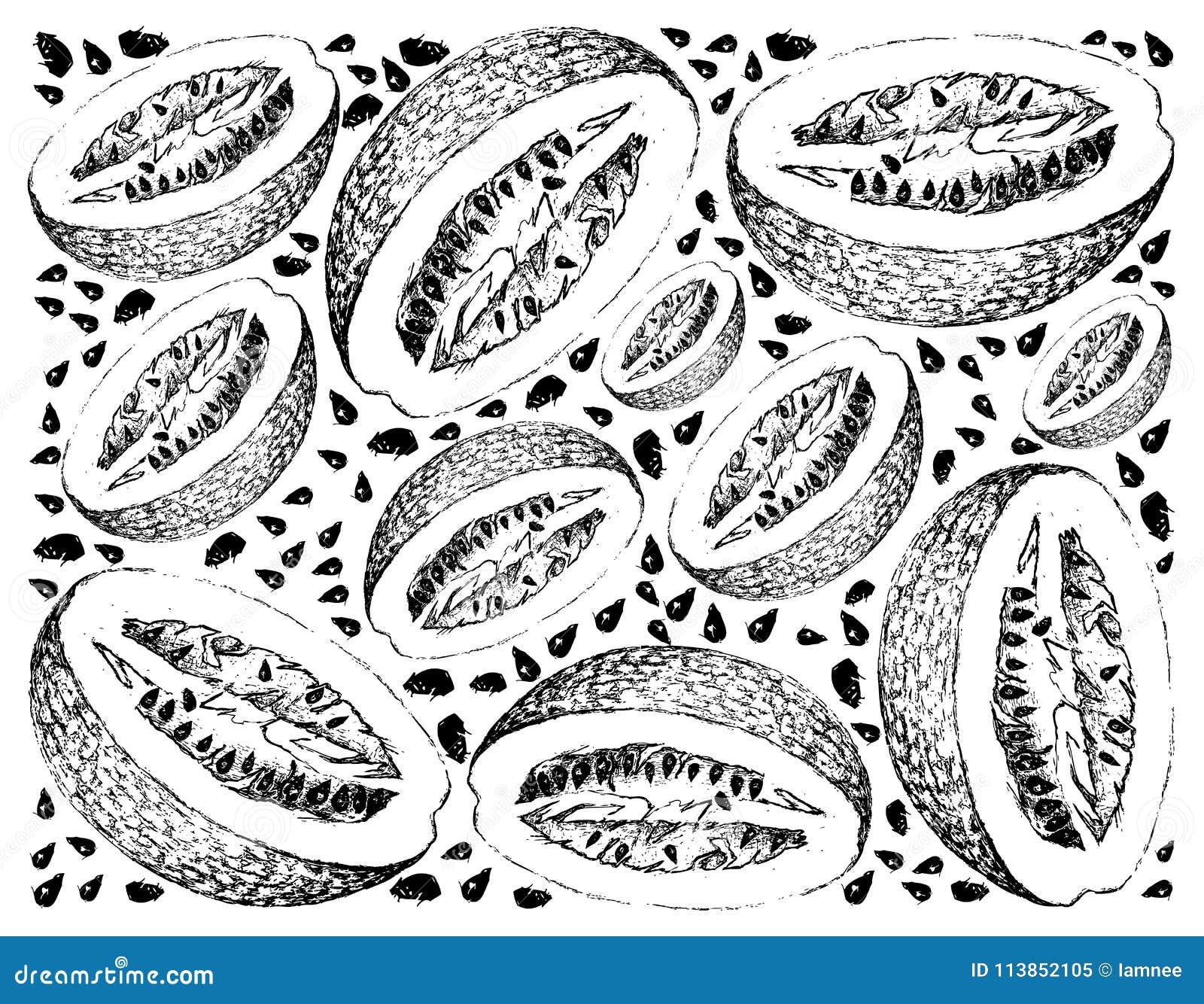hand drawn of chiverre fruits on white background