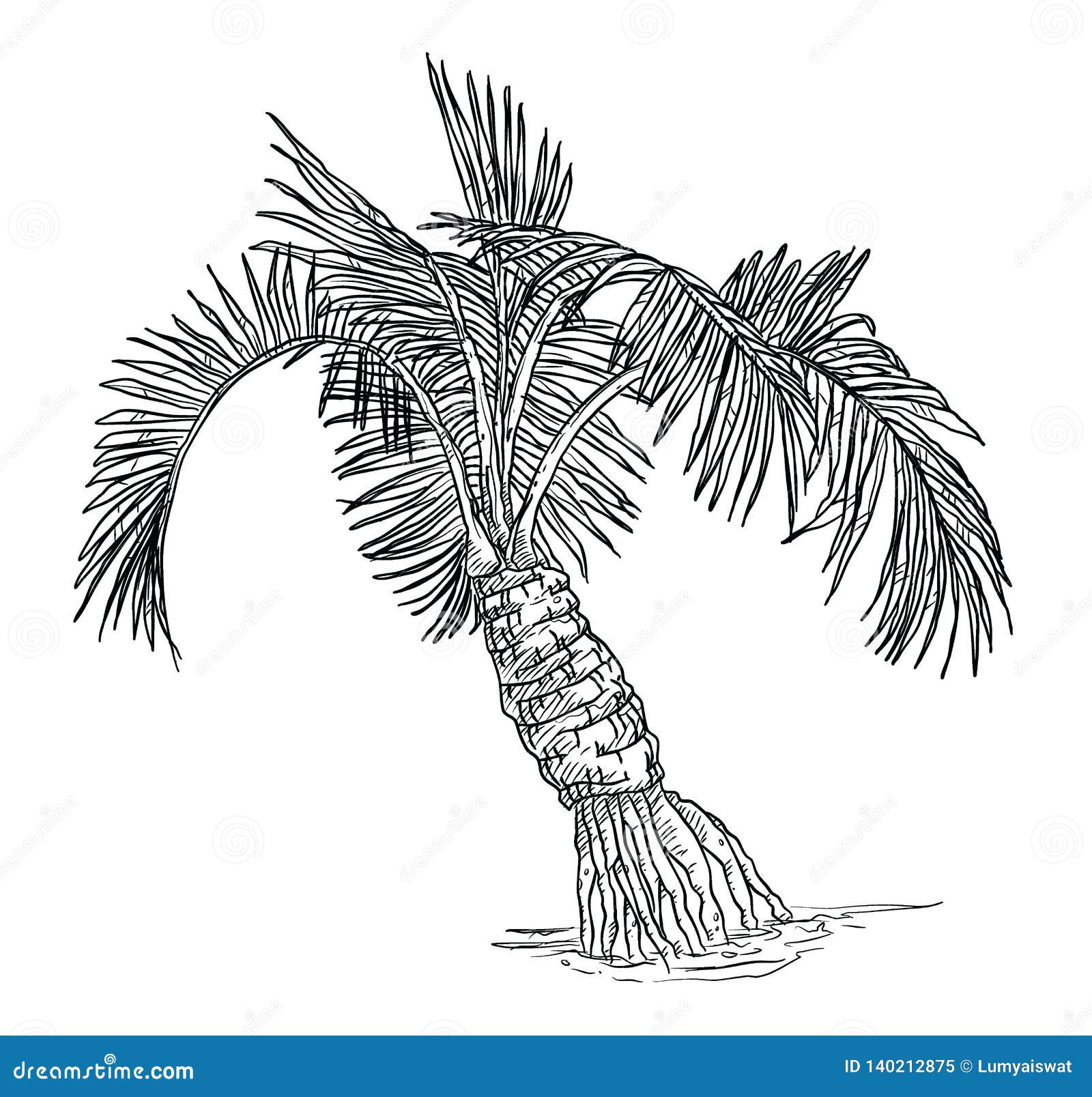 Hand Drawn of Coconut Palm Tree Vector Illustration Stock Vector ...