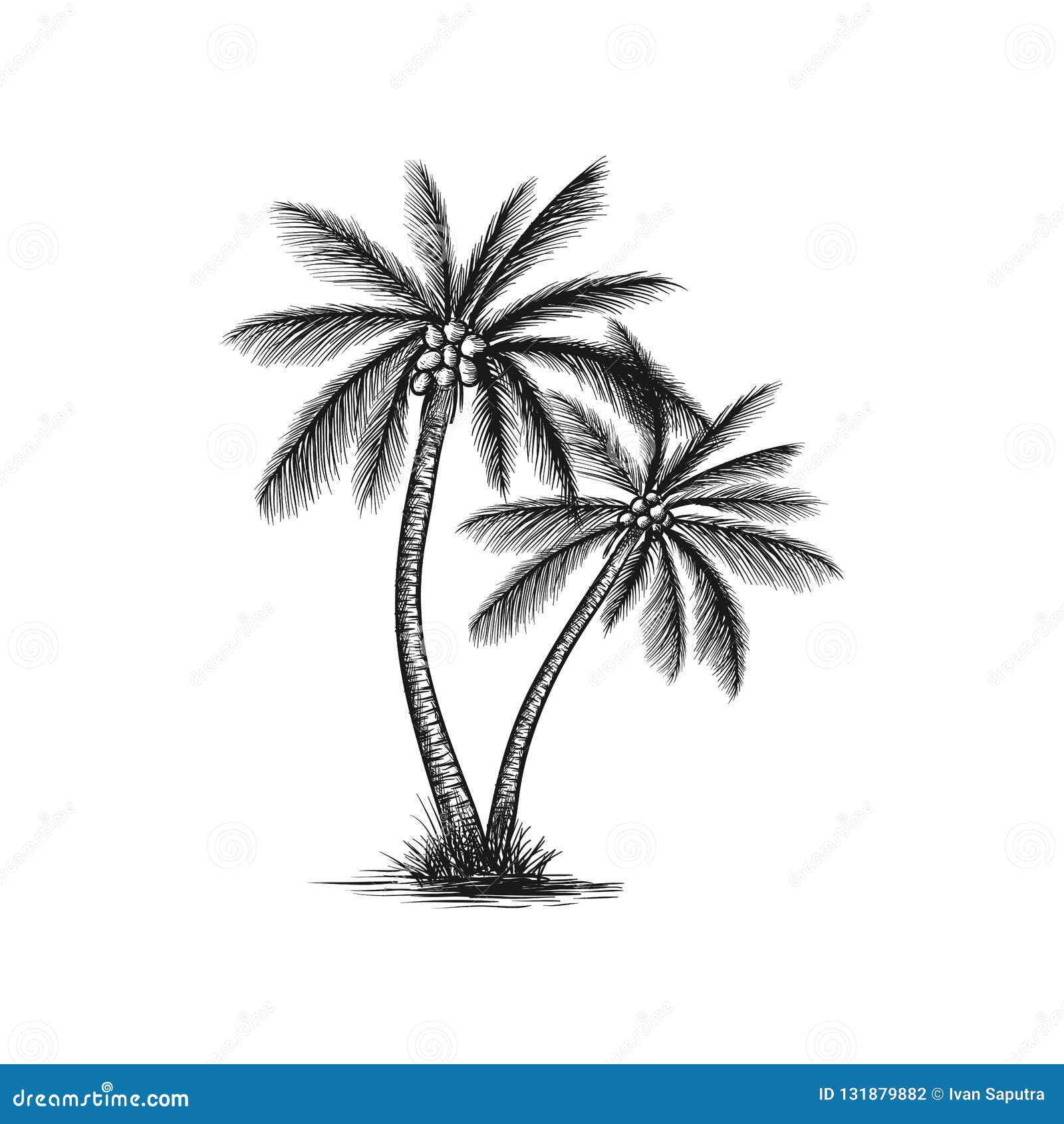 Vector Isolated Contour Line Palm Tree Stock Vector (Royalty Free)  2084898520 | Shutterstock