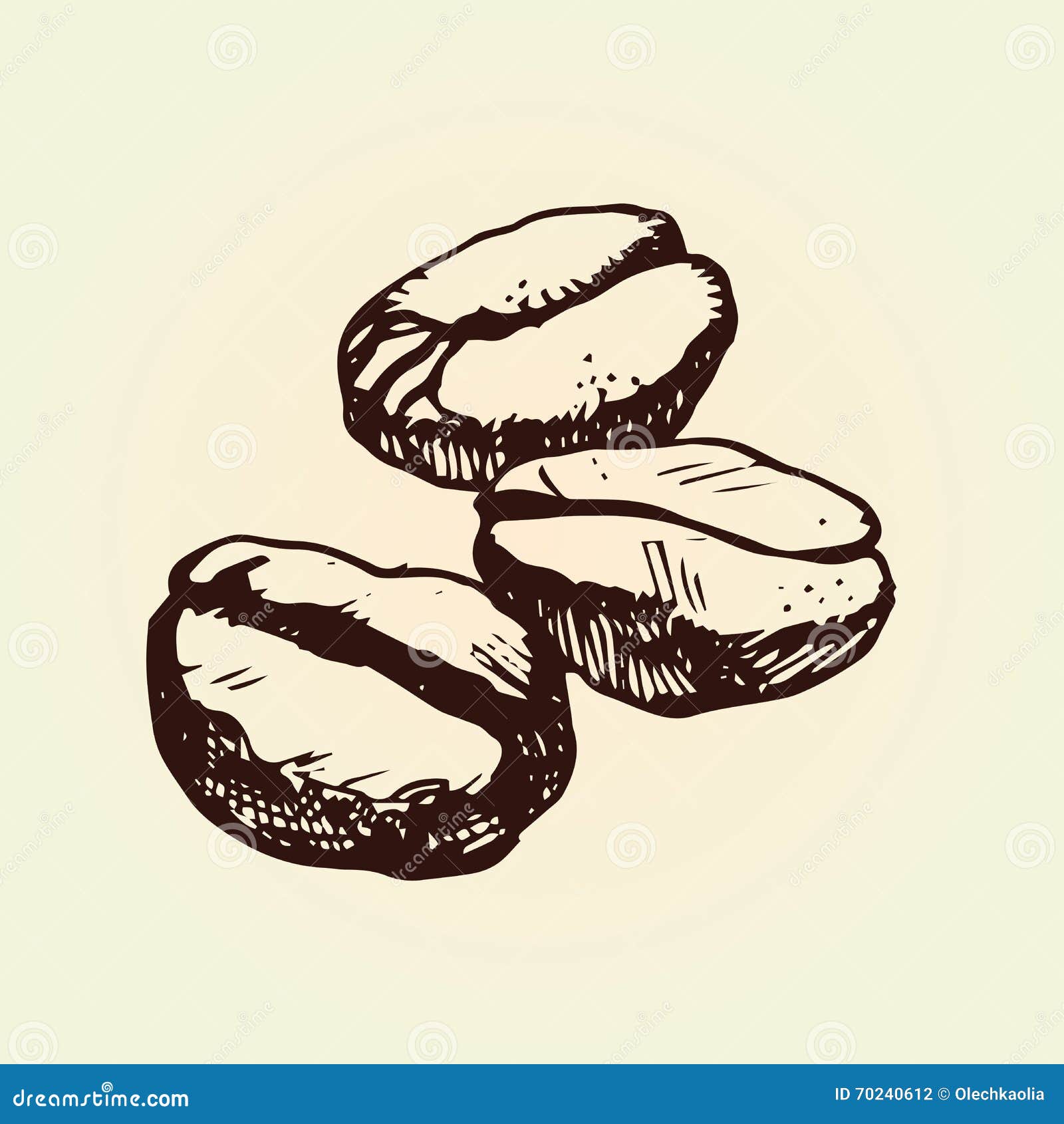 Hand Drawn Coffee Beans. Outline Illustration. Isolated Vector Drawing