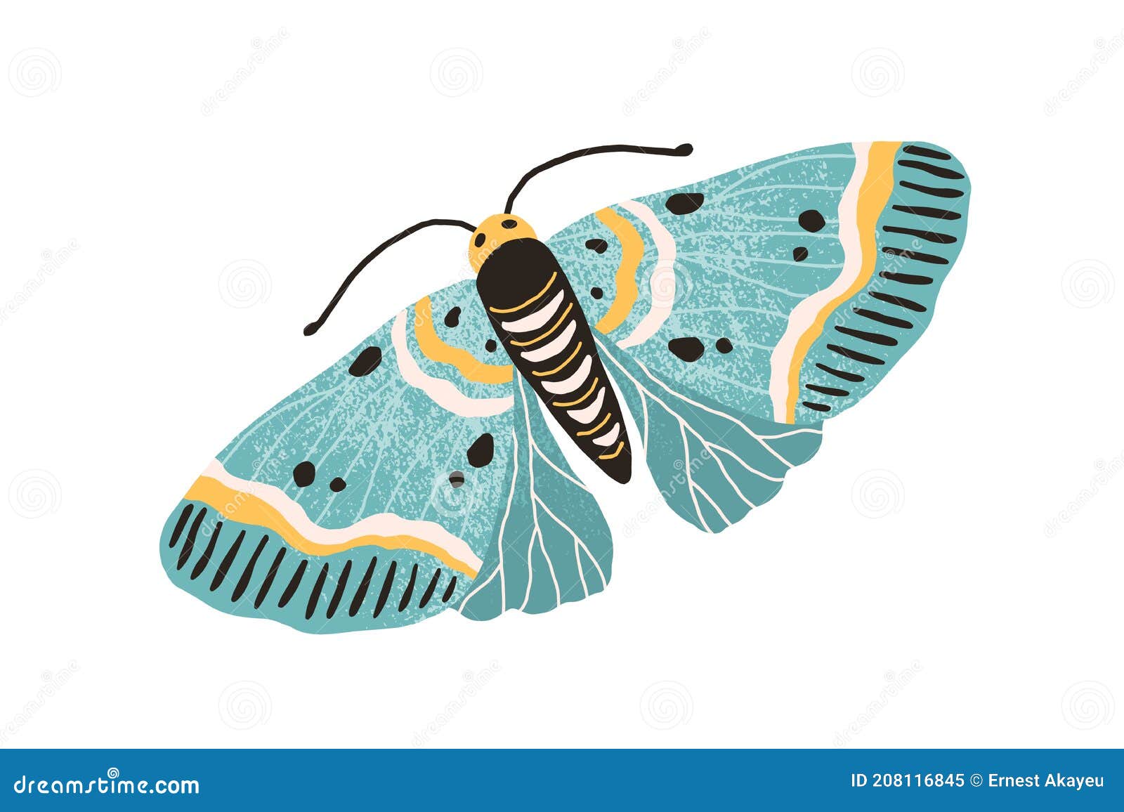 hand drawn colored elegant flying moth. gorgeous and beautiful butterfly with pastel wings and antennae  on