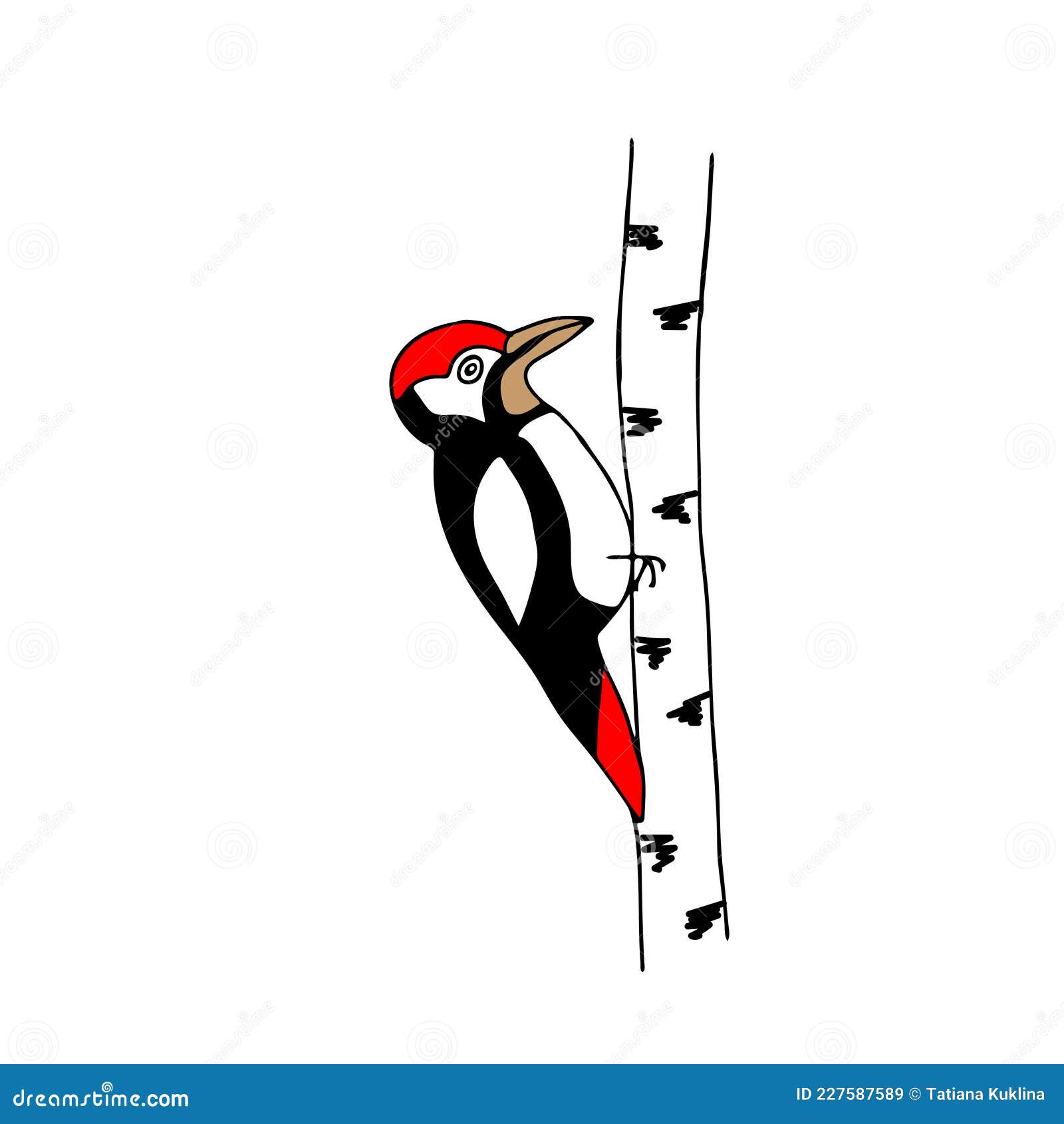 hand-drawn colored outline   of one fun woodpecker sitting on a tree on a white background