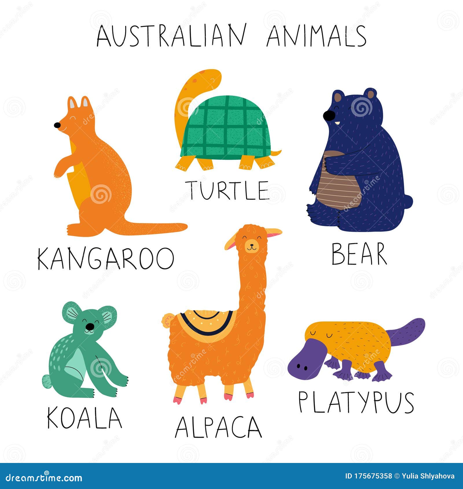 Download Hand Drawn Colorful Australian Animals Collection With Names. Stock Vector - Illustration of ...