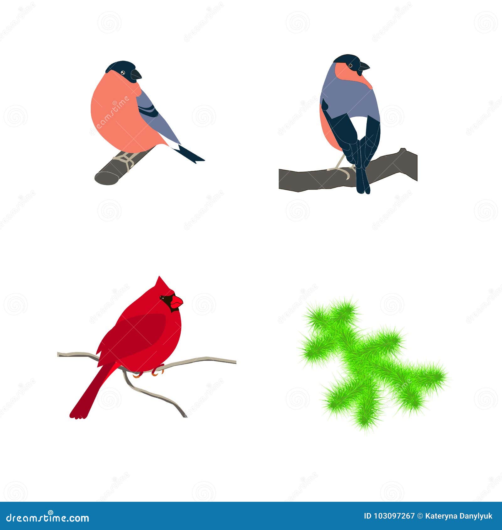 Hand Drawn Colorful Red Cardinal Bird Bullfinches Fir Brunch For