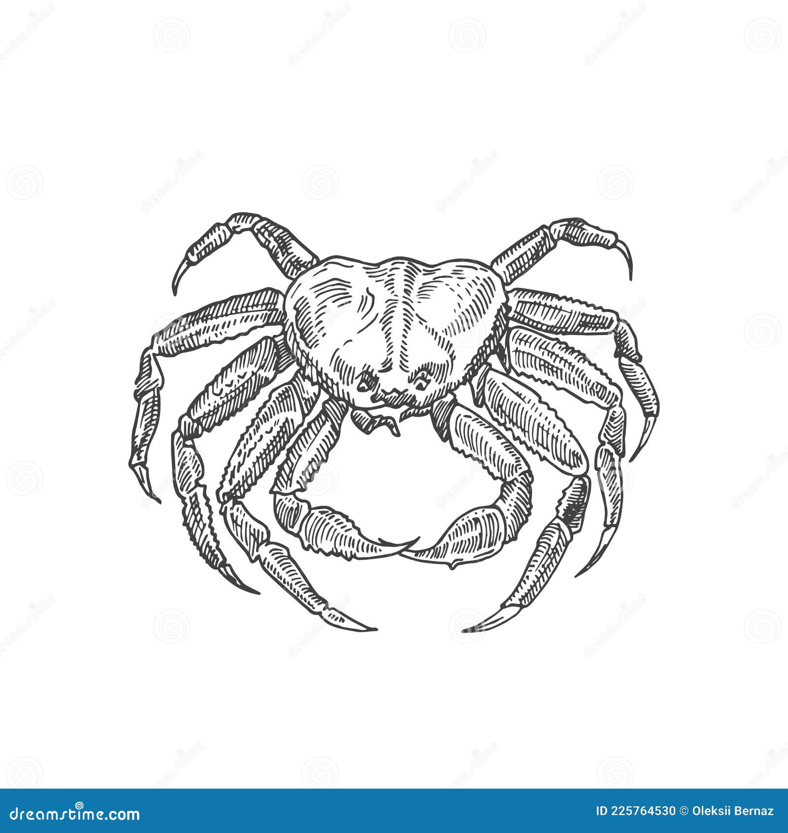 Hand Drawn Crab Vector Illustration. Abstract Seafood Sketch