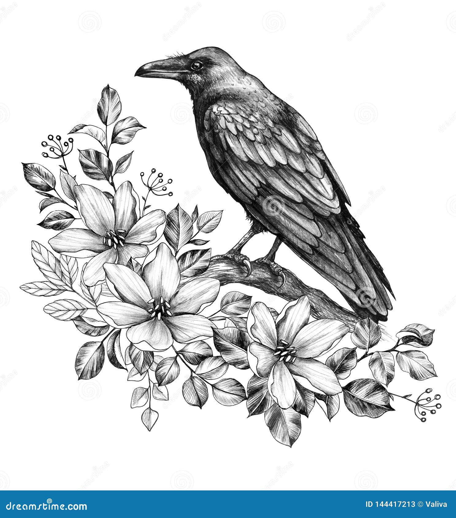 Crow Drawing Images  Browse 37754 Stock Photos Vectors and Video   Adobe Stock