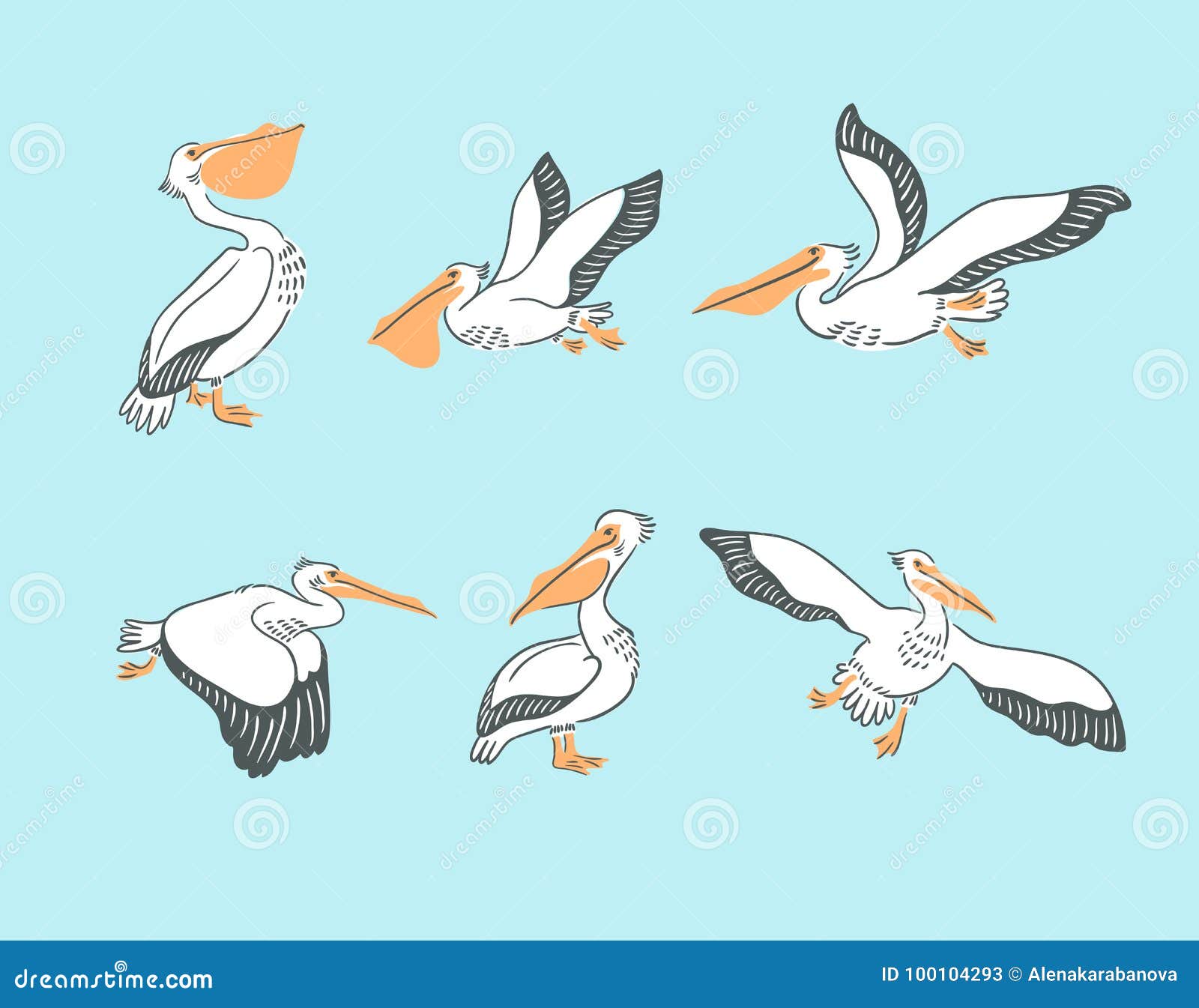 Pelicans designs, themes, templates and downloadable graphic