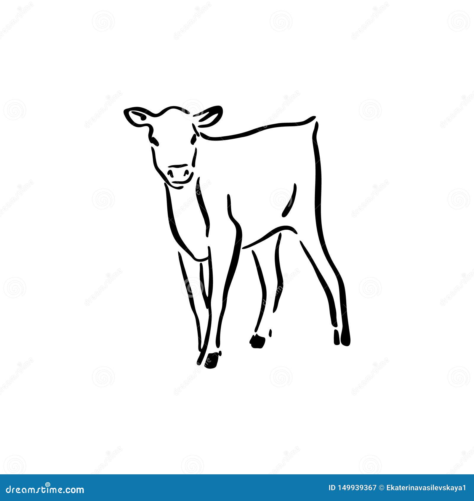 Sketch of calf eating grass. Cow, bull, farm animal. Hand drawn black and  white graphic illustration Stock Photo - Alamy