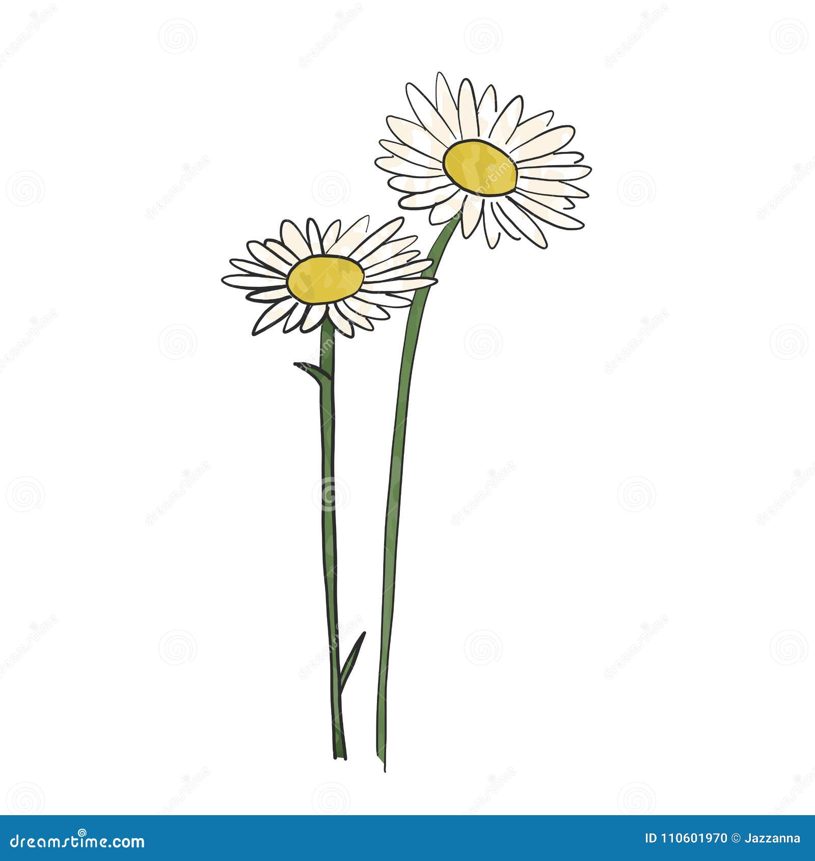 Hand drawn daisy flower stock vector. Illustration of isolated 110601970