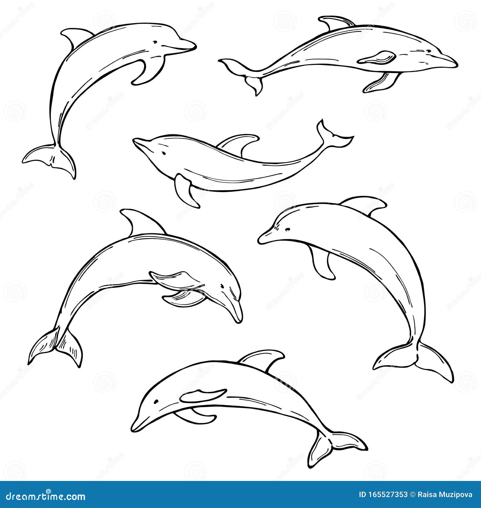 Hand Drawn Dolphins. Vector Sketch Illustration Stock Vector