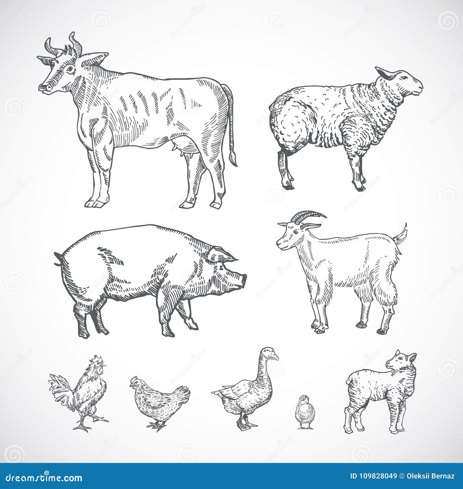 Cute Animals Easy Drawing Vector Images (over 1,200)