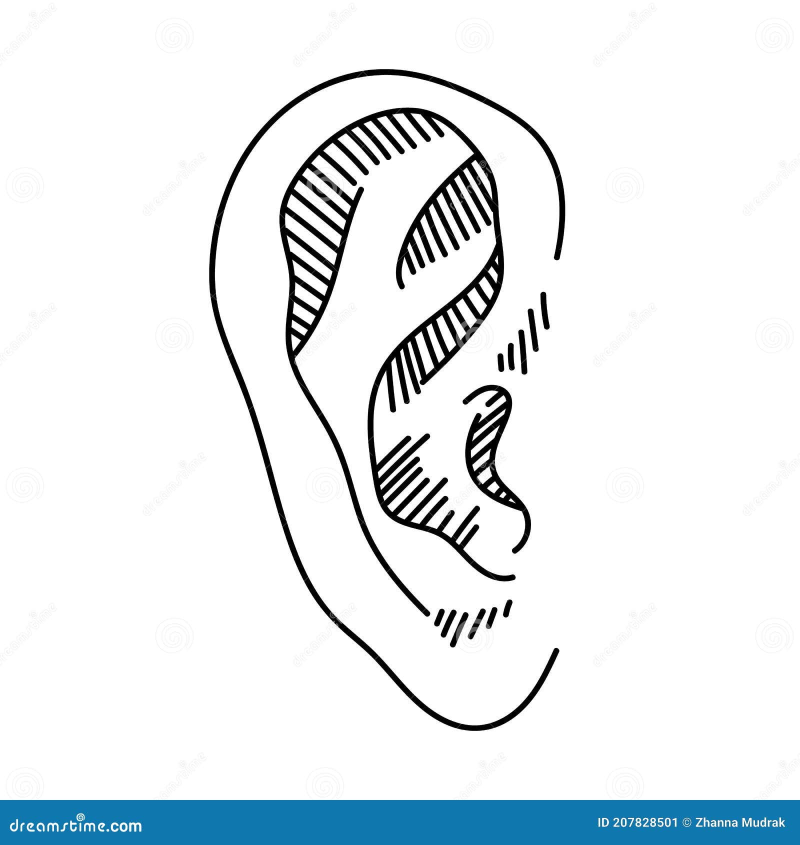 Hand Drawn Ear Sketch Symbol. Vector Listen Element in Doodle Style Isoleted on White Stock