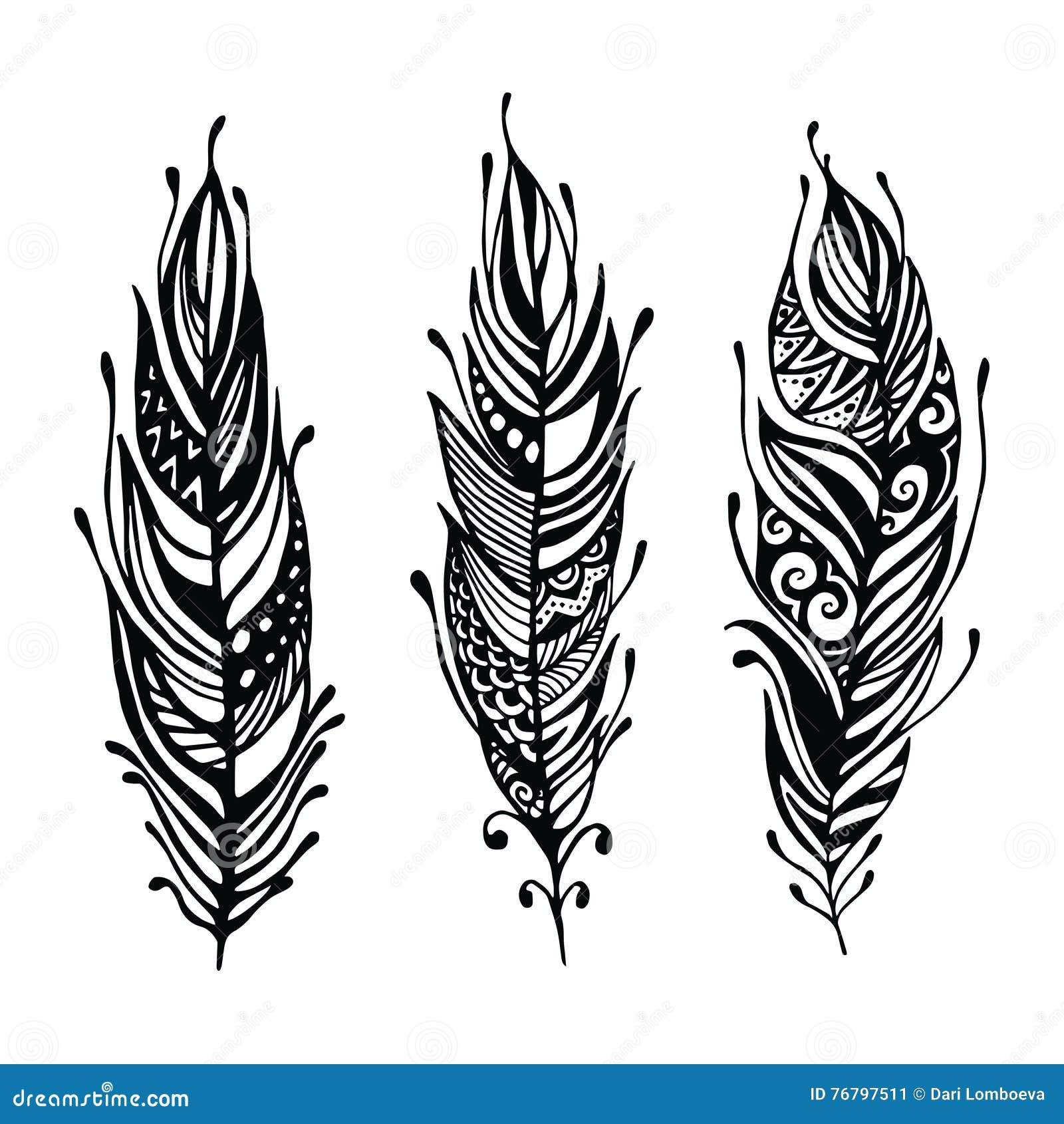 Hand Drawn Feathers. Ink Vector Illustration. Boho Style Design ...