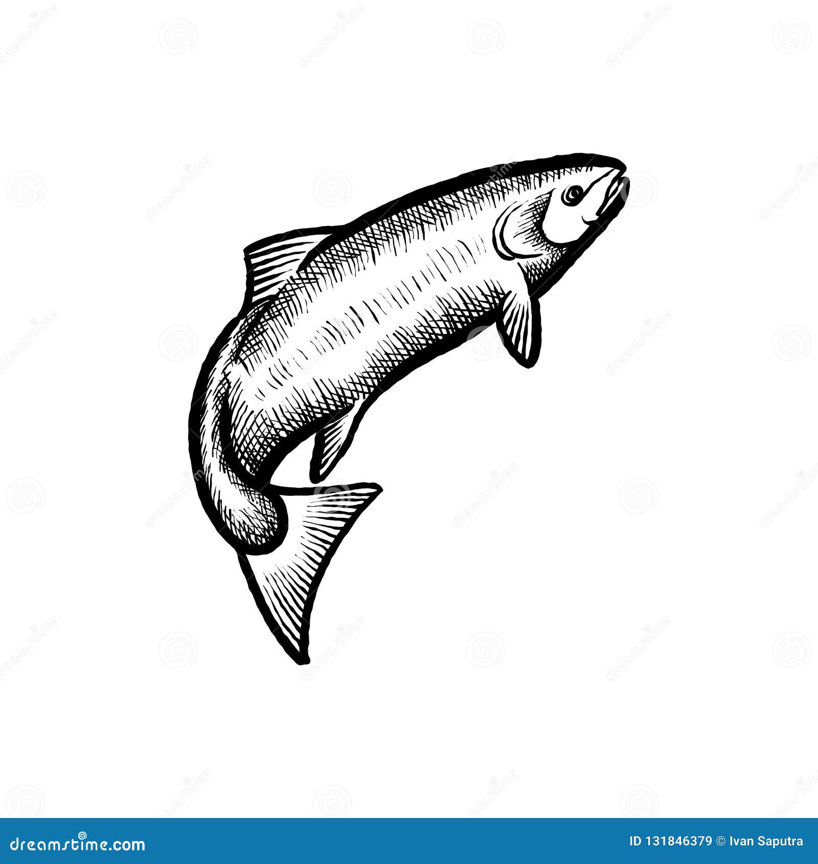 Hand Drawn Fish Logo Vector Inspiration Fishing Logo Design