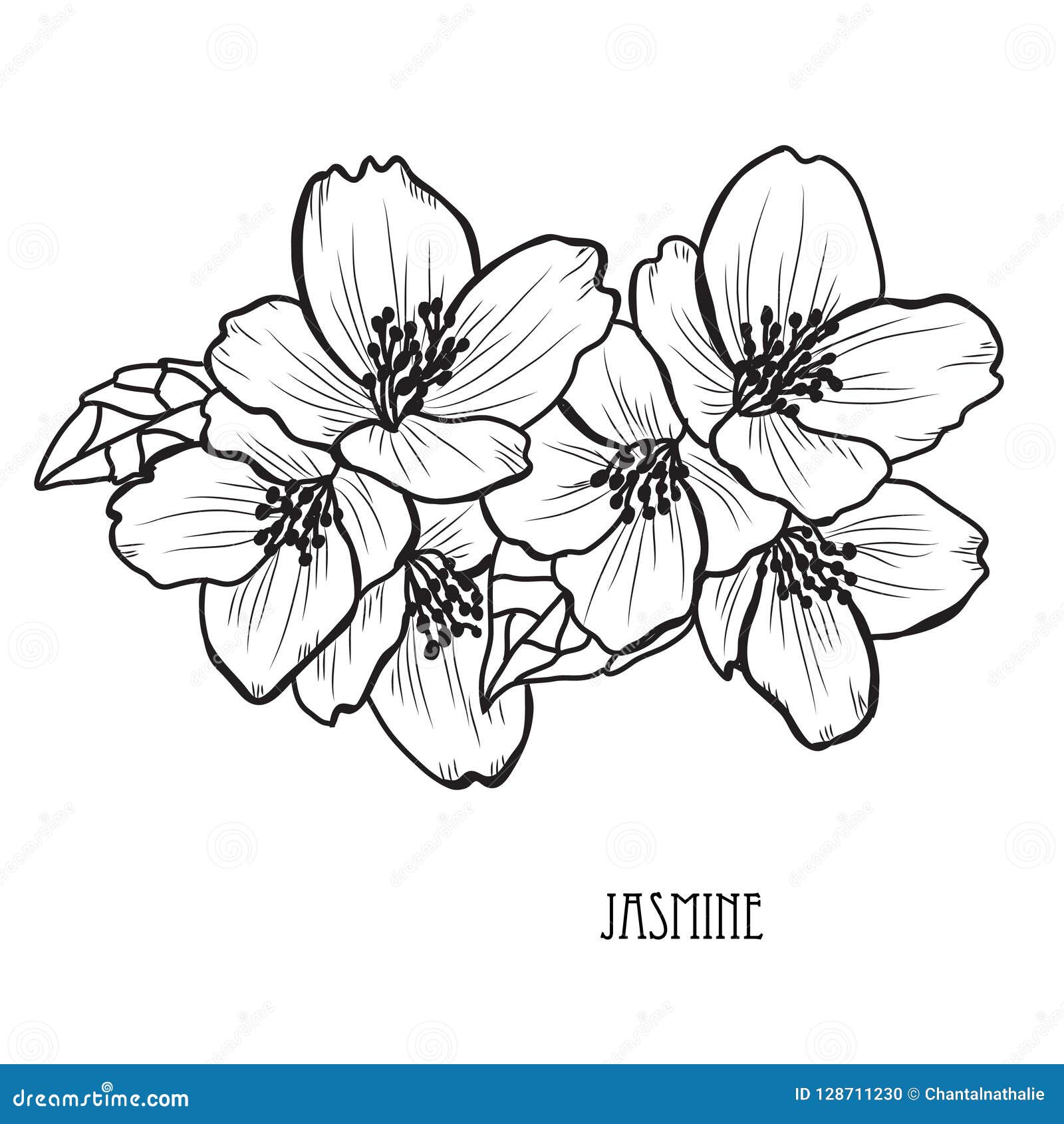 Hand Drawn Floral Decoration Stock Vector - Illustration of clip ...