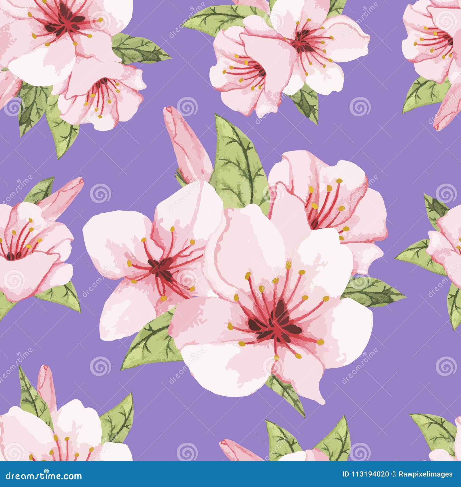 Hand Drawn Flower Isolated on Purple Stock Illustration - Illustration