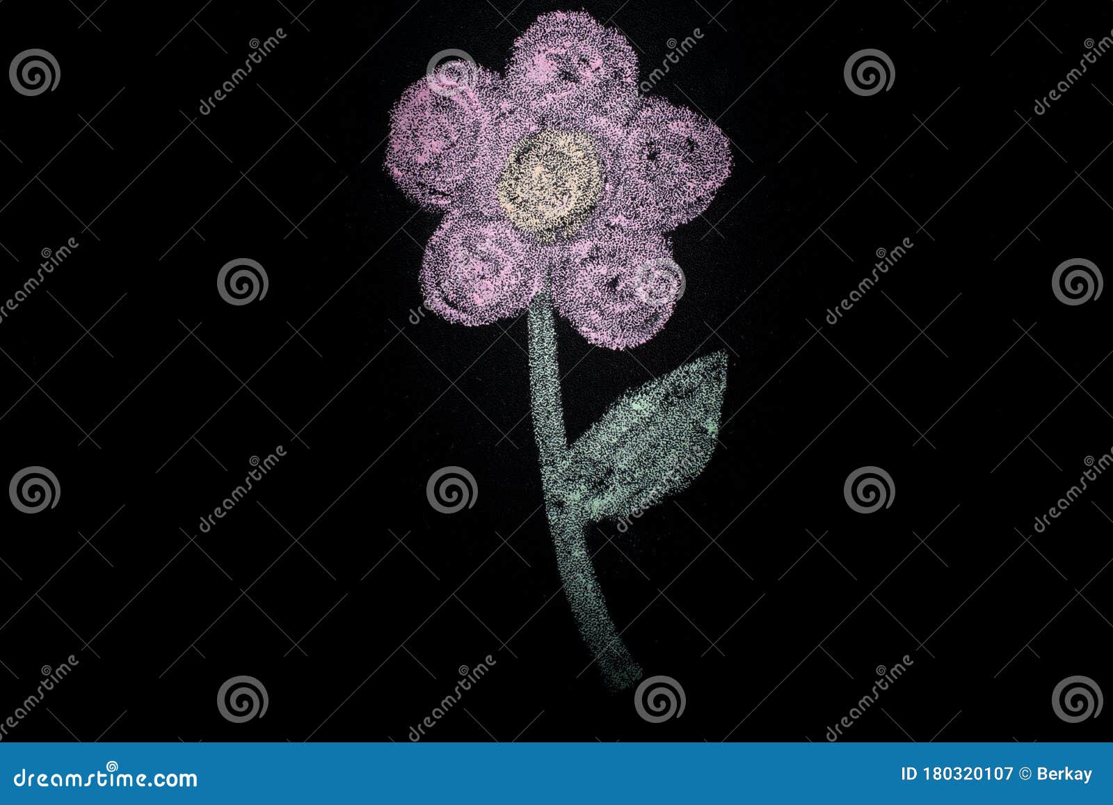 Hand Drawn Flower with White Chalk on Blackboard Stock Image Image of