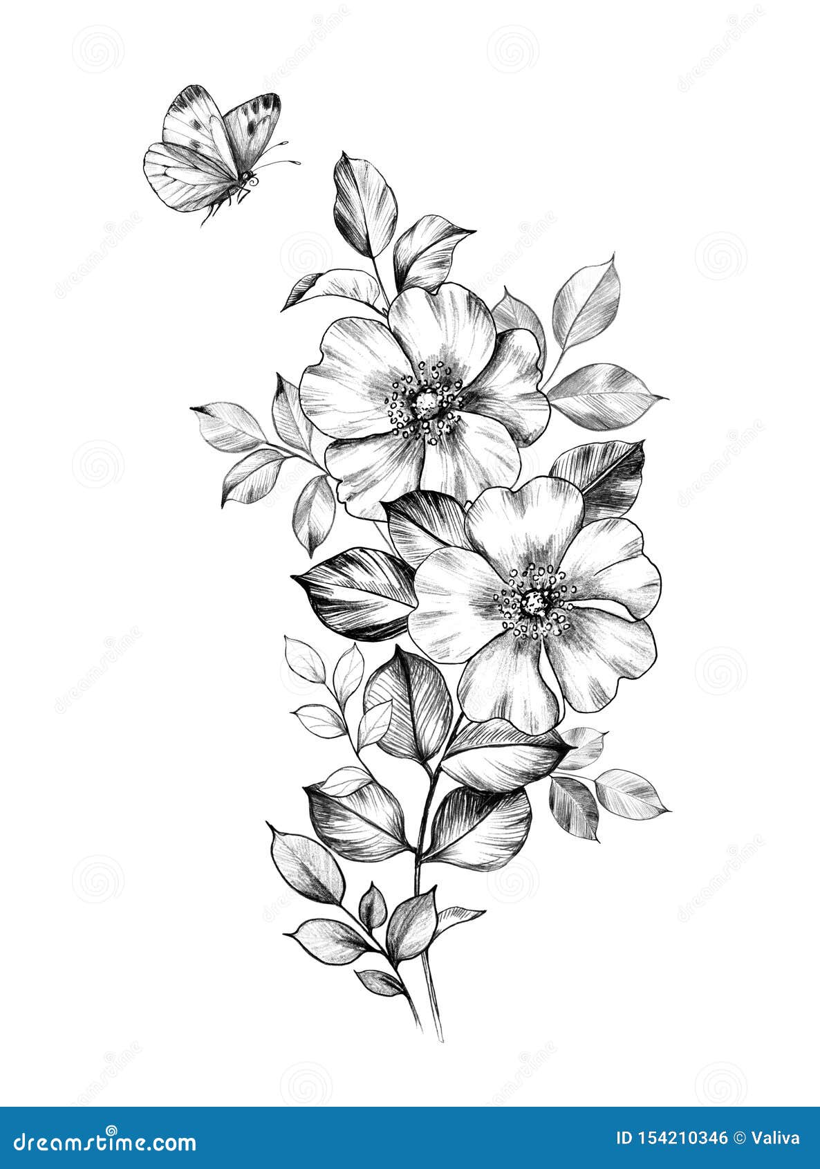 ArtStation - Pencil sketch of a flower