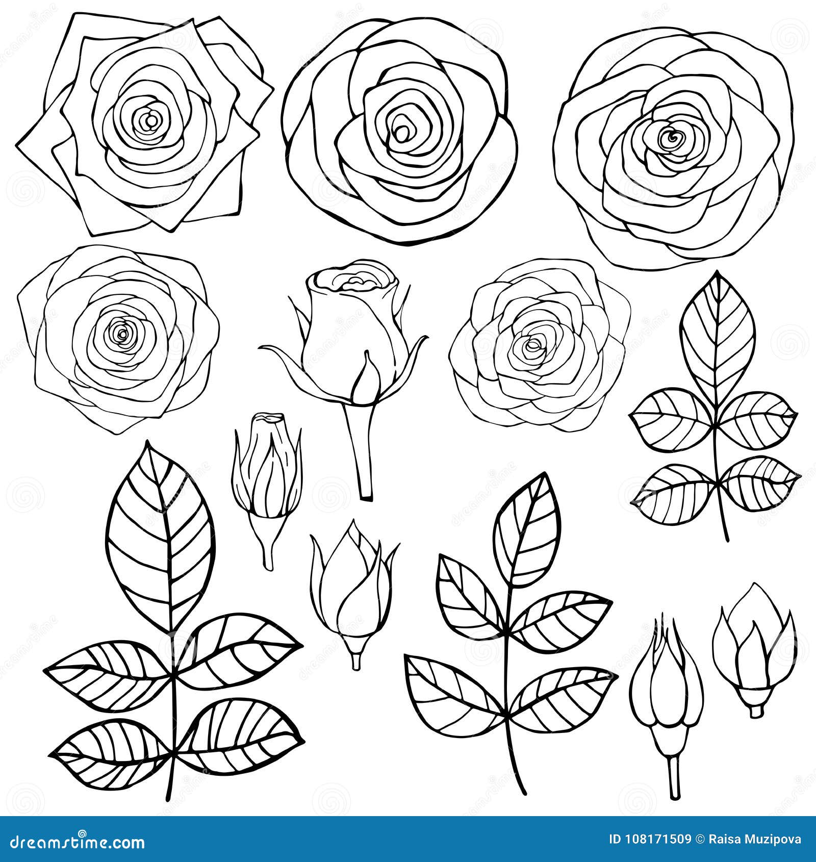 Hand Drawn Flowers. Roses. Vector Sketch Illustration ...