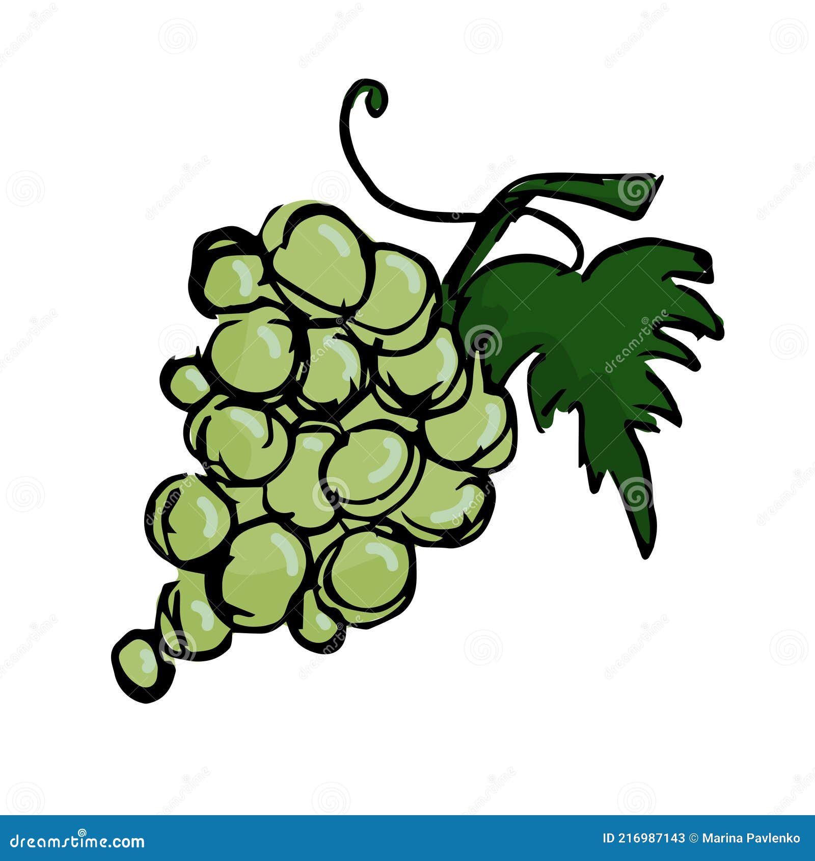 Hand Drawn Grapes Illustration Isolated on White Background. Stock