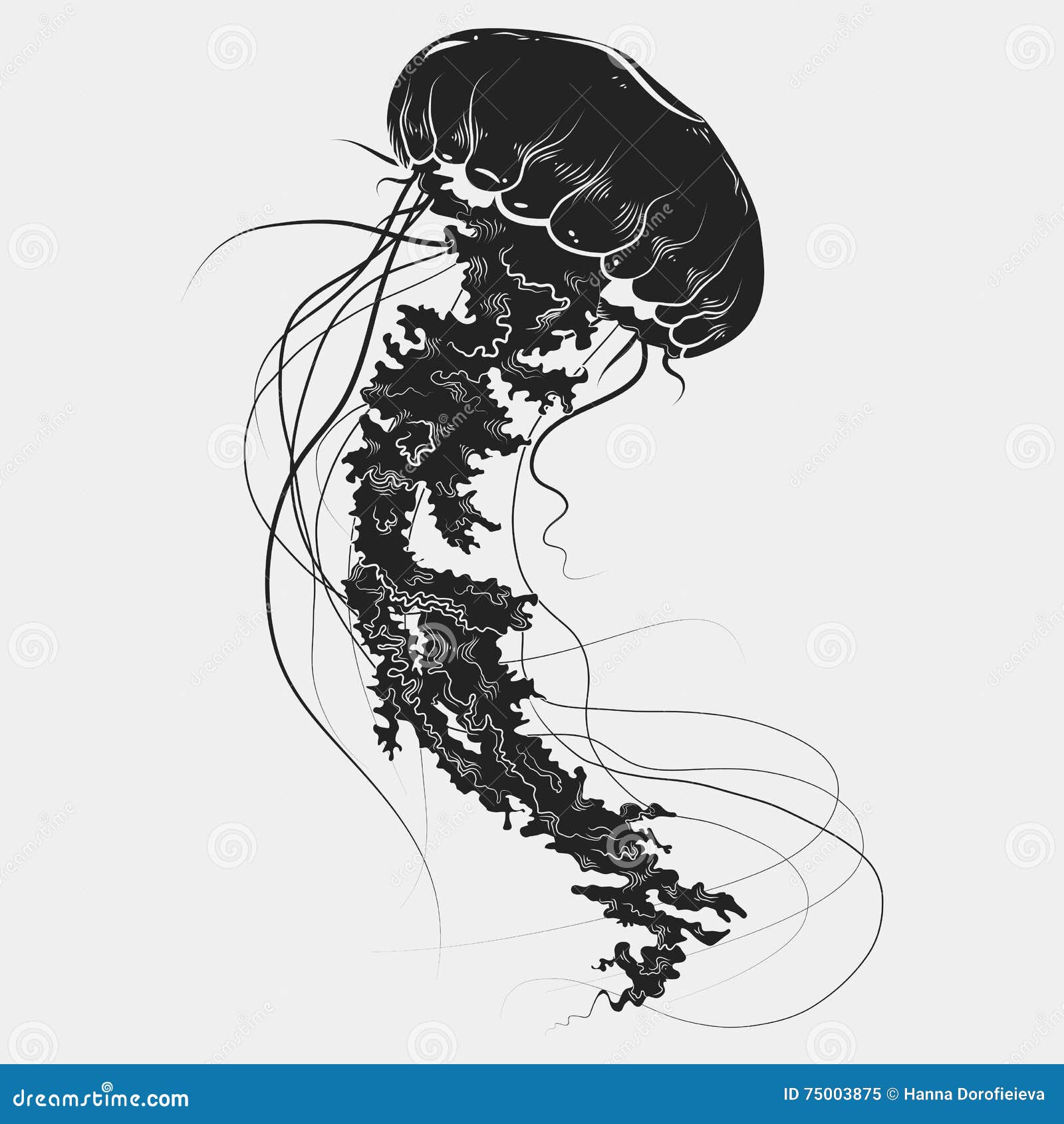 Jellyfish By Camille Levrier Dlicate Distorsion  Jellyfish Tattoo Png PNG  Image  Transparent PNG Free Download on SeekPNG