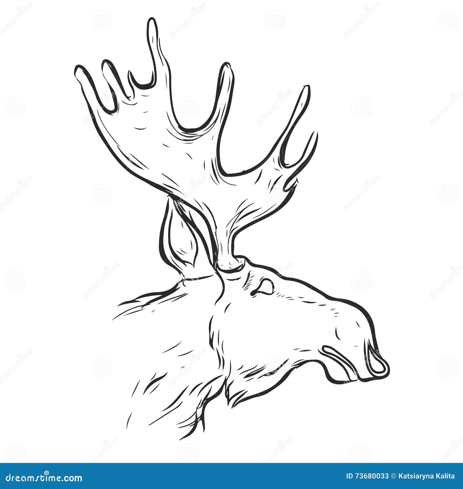 hand drawn graphic moose