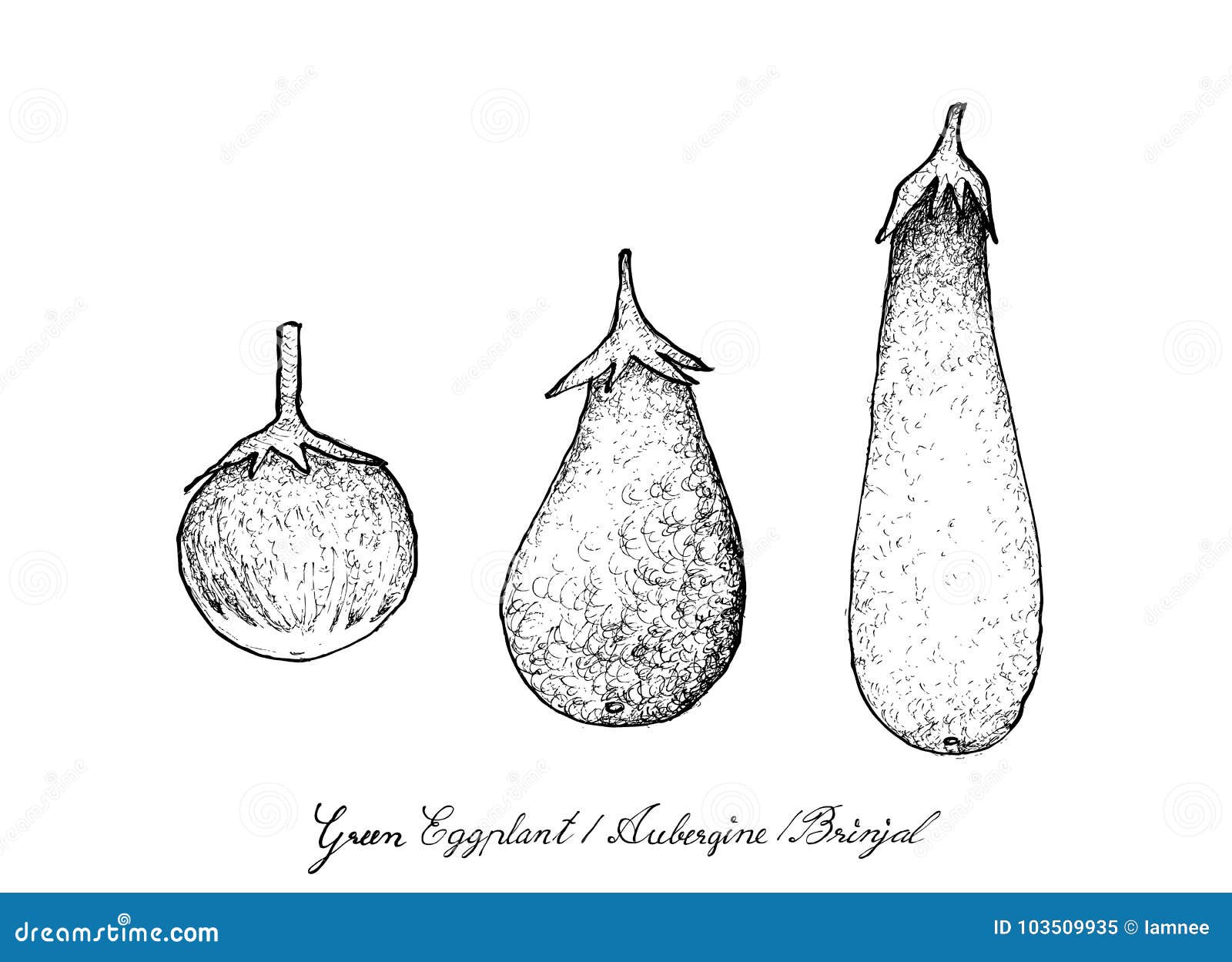 How to Draw an Eggplant Step by Step  EasyDrawingTips