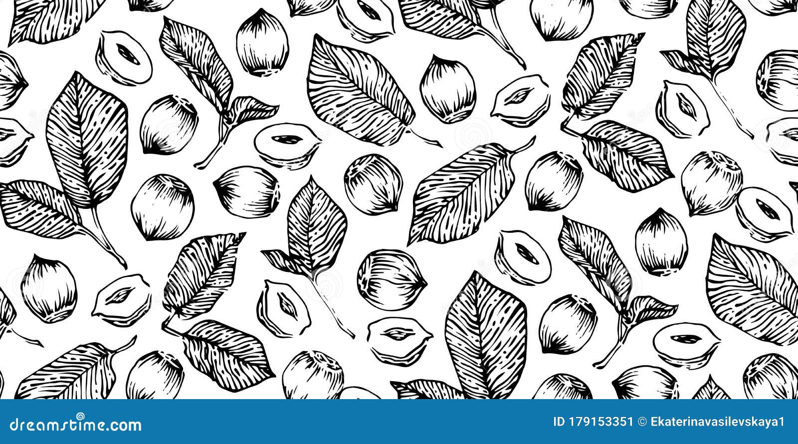 Hand Drawn Hazelnuts Seamless Vector Illustration, Black Ink Drawing