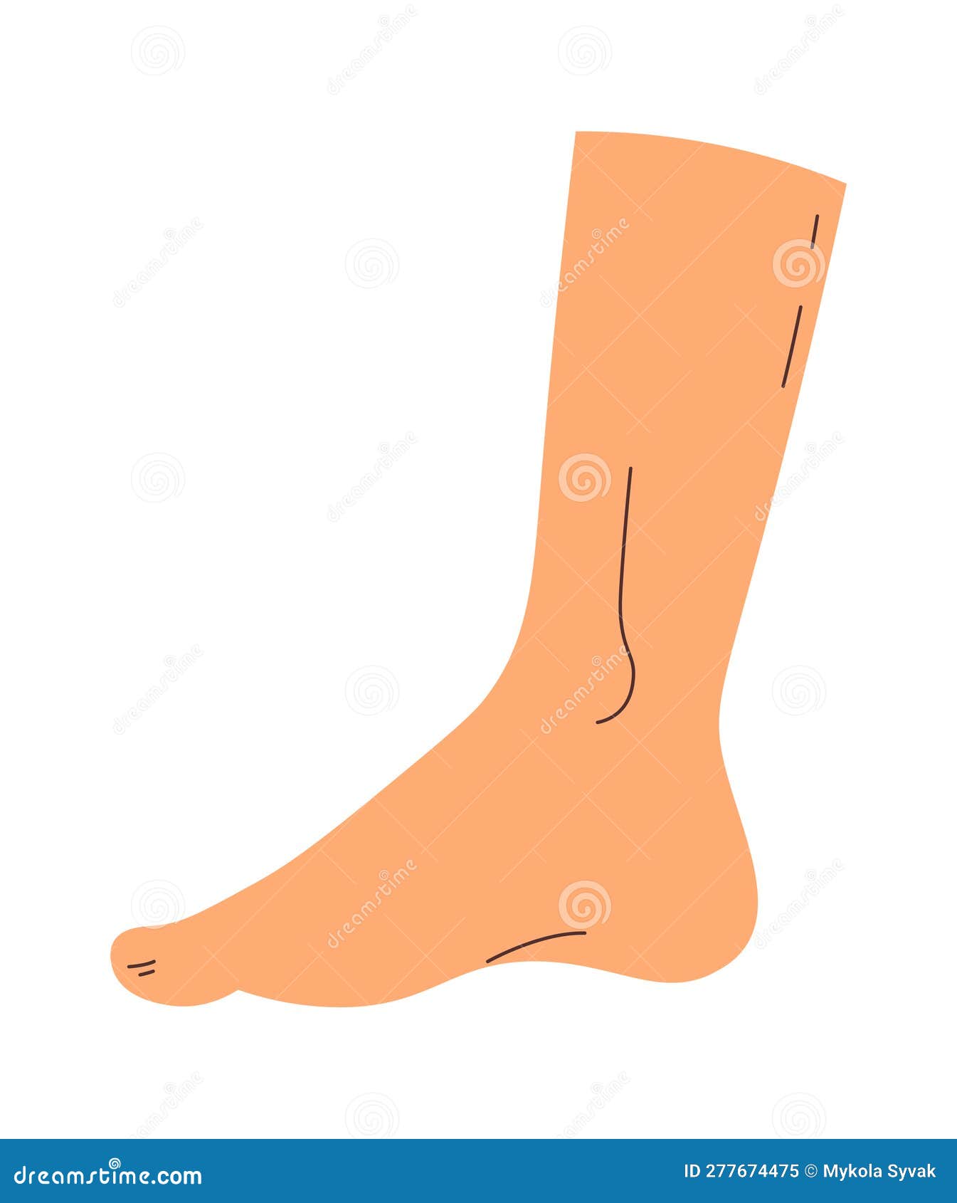 Hand Drawn Human Foot stock vector. Illustration of vector 277674475