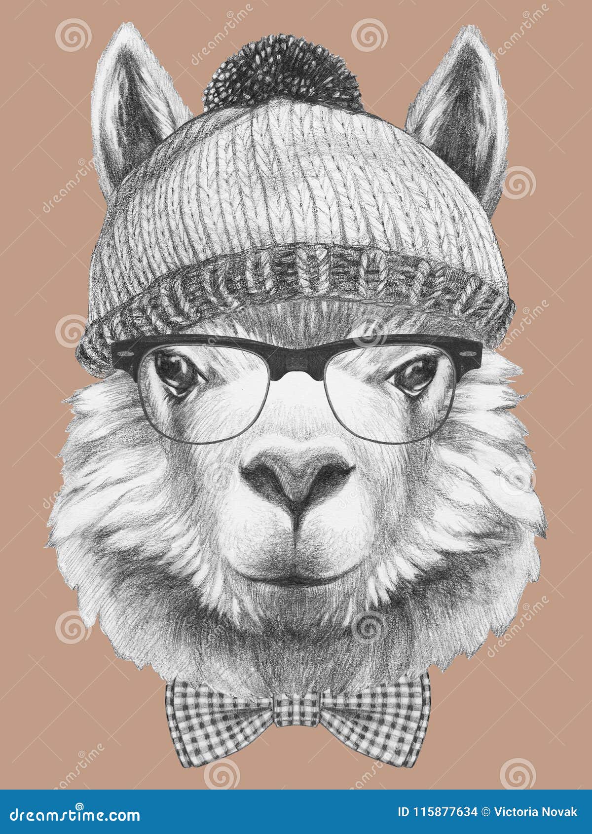 Portrait of of Lama with Sunglasses, Hat and Bow Tie, Hand-drawn Illustration Stock Illustration - of funny: 115877634